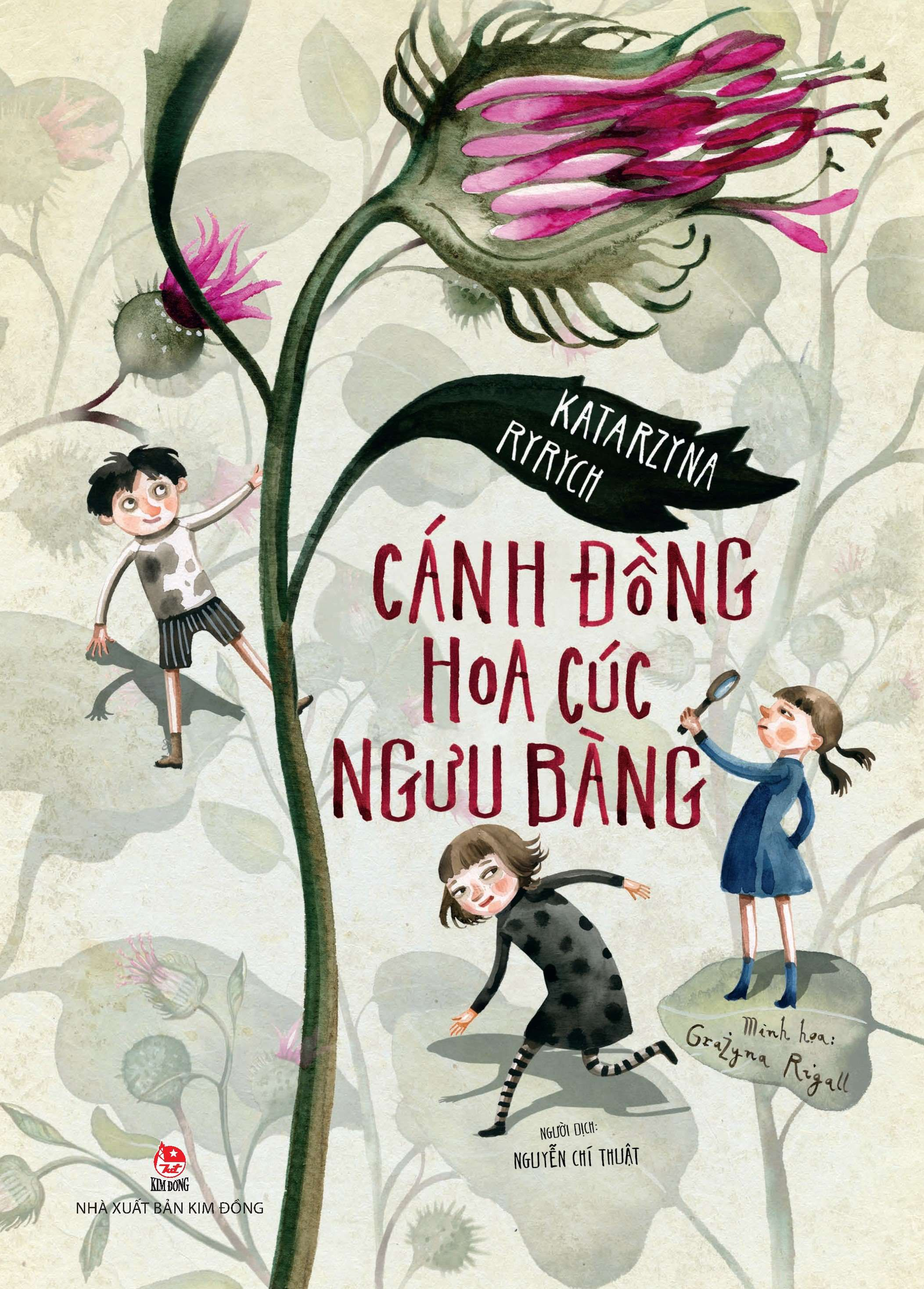 cánh đồng hoa cúc ngưu bàng - Ảnh 2