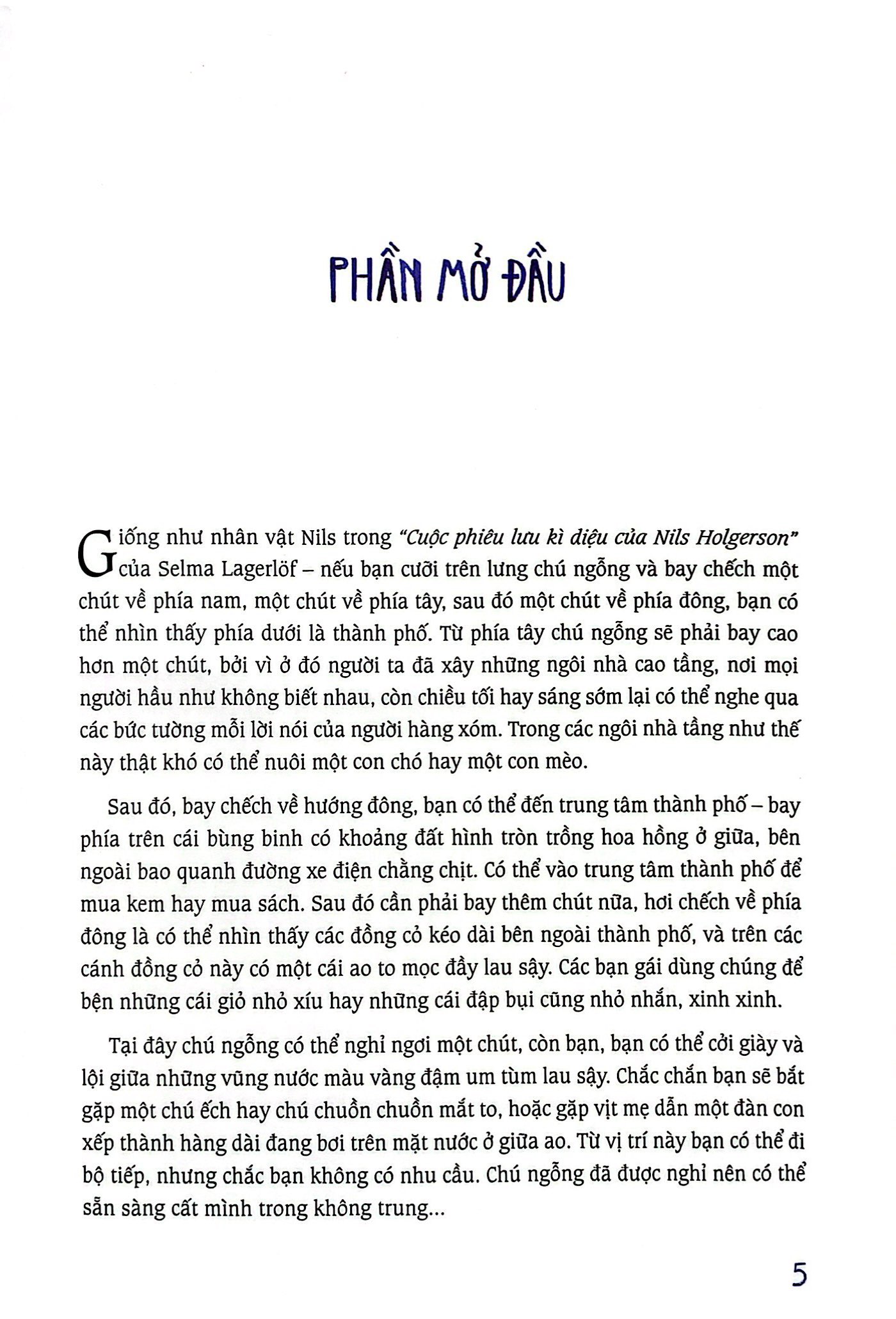 cánh đồng hoa cúc ngưu bàng - Ảnh 5