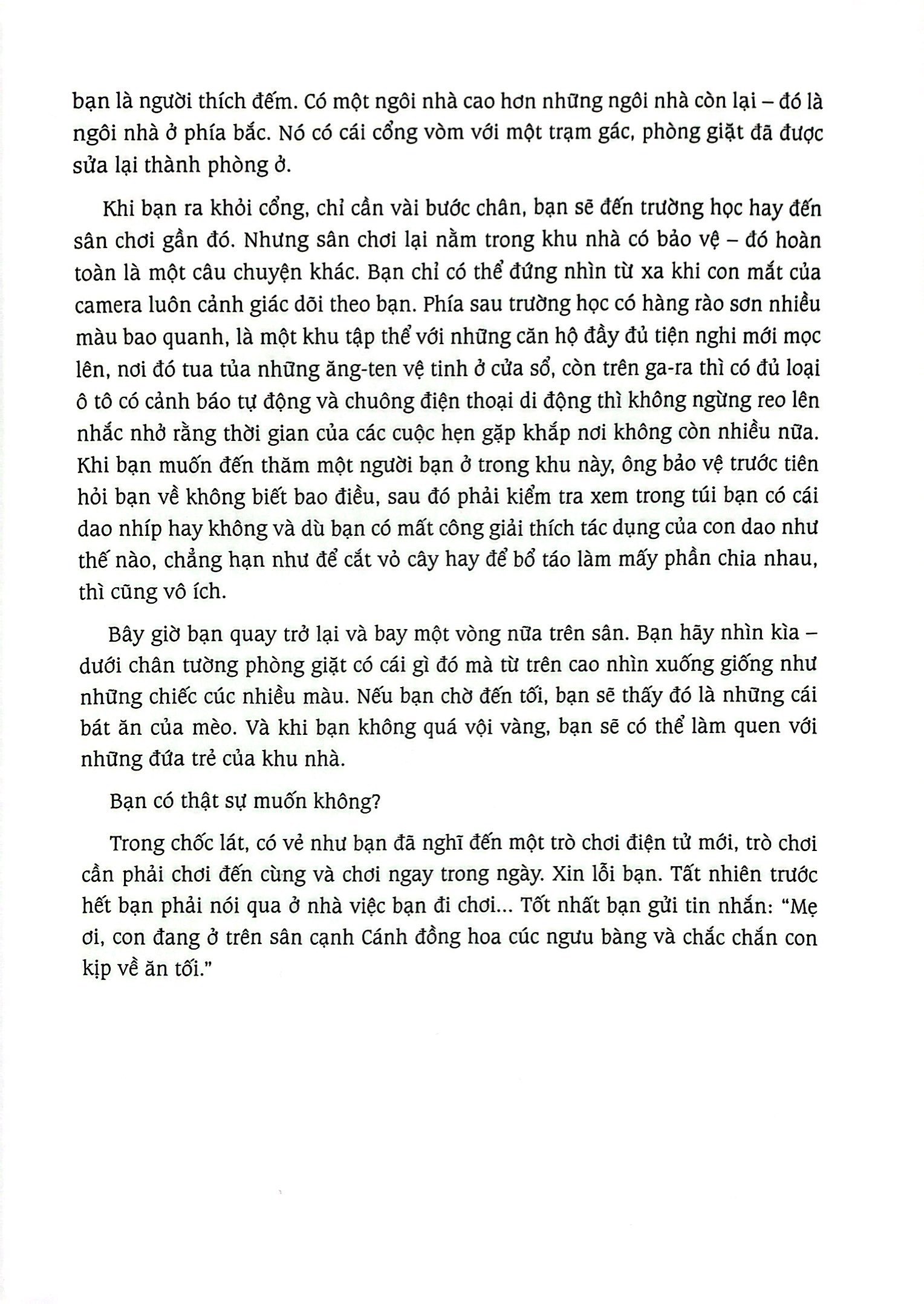 cánh đồng hoa cúc ngưu bàng - Ảnh 7