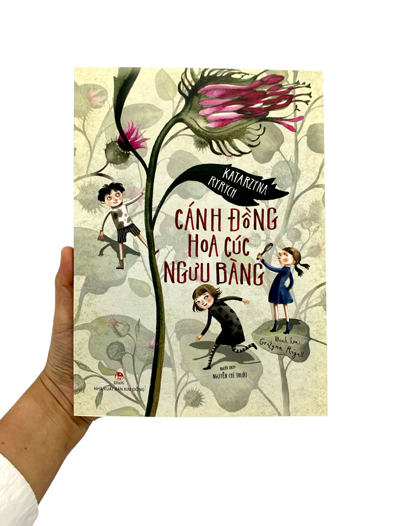 cánh đồng hoa cúc ngưu bàng - Ảnh 9