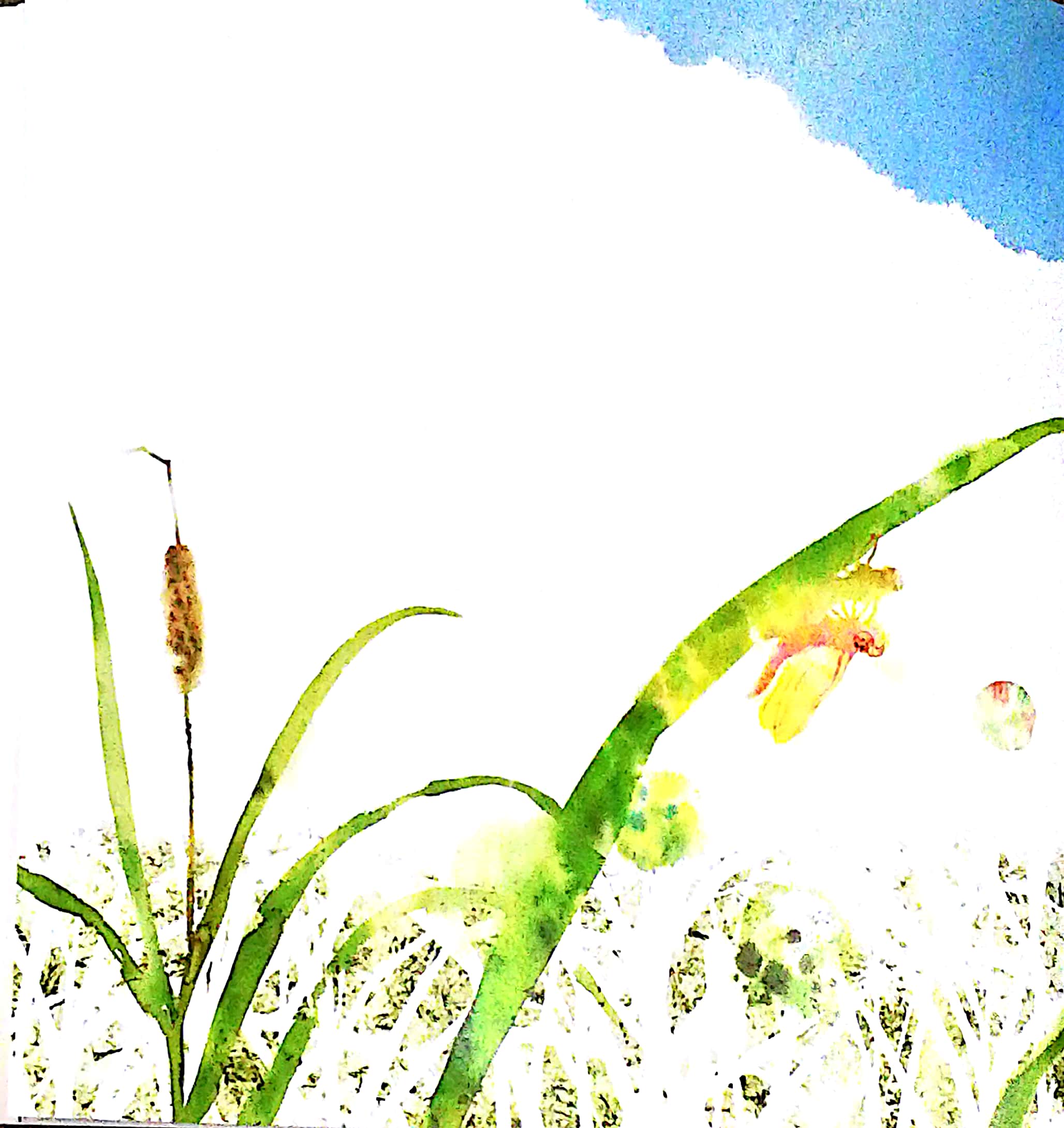 cánh thư gửi mẹ - Ảnh 5