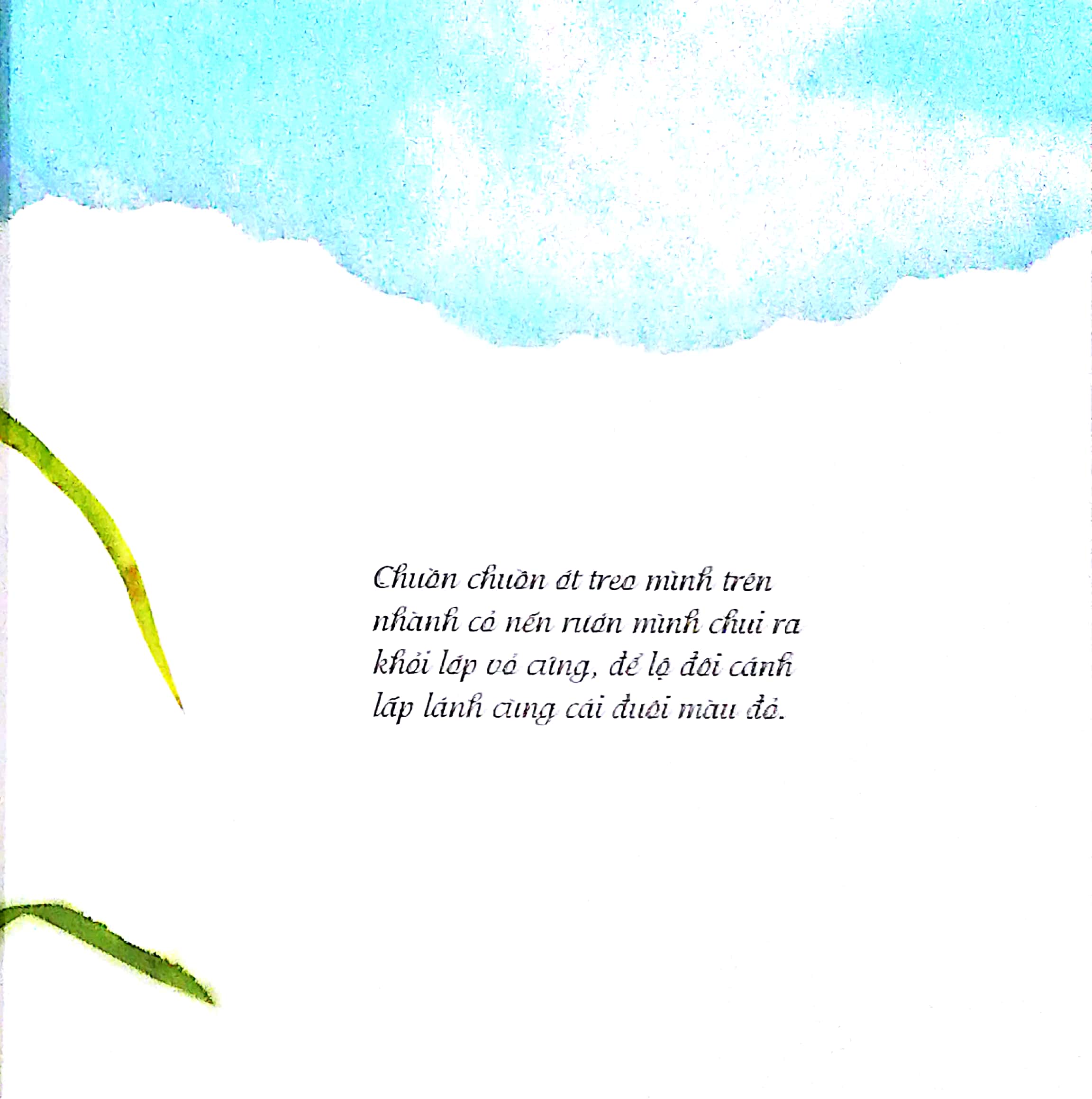 cánh thư gửi mẹ - Ảnh 6