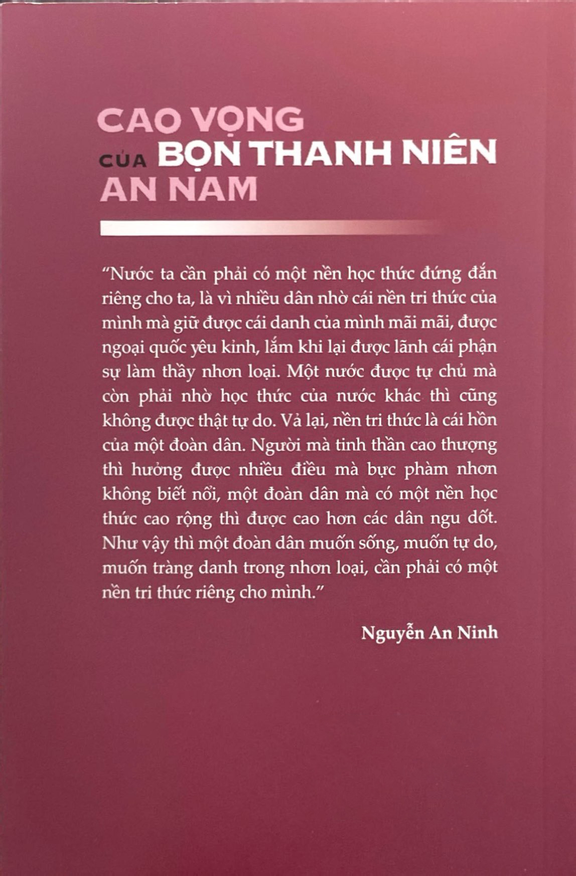 cao vọng của bọn thanh niên an nam - Ảnh 7