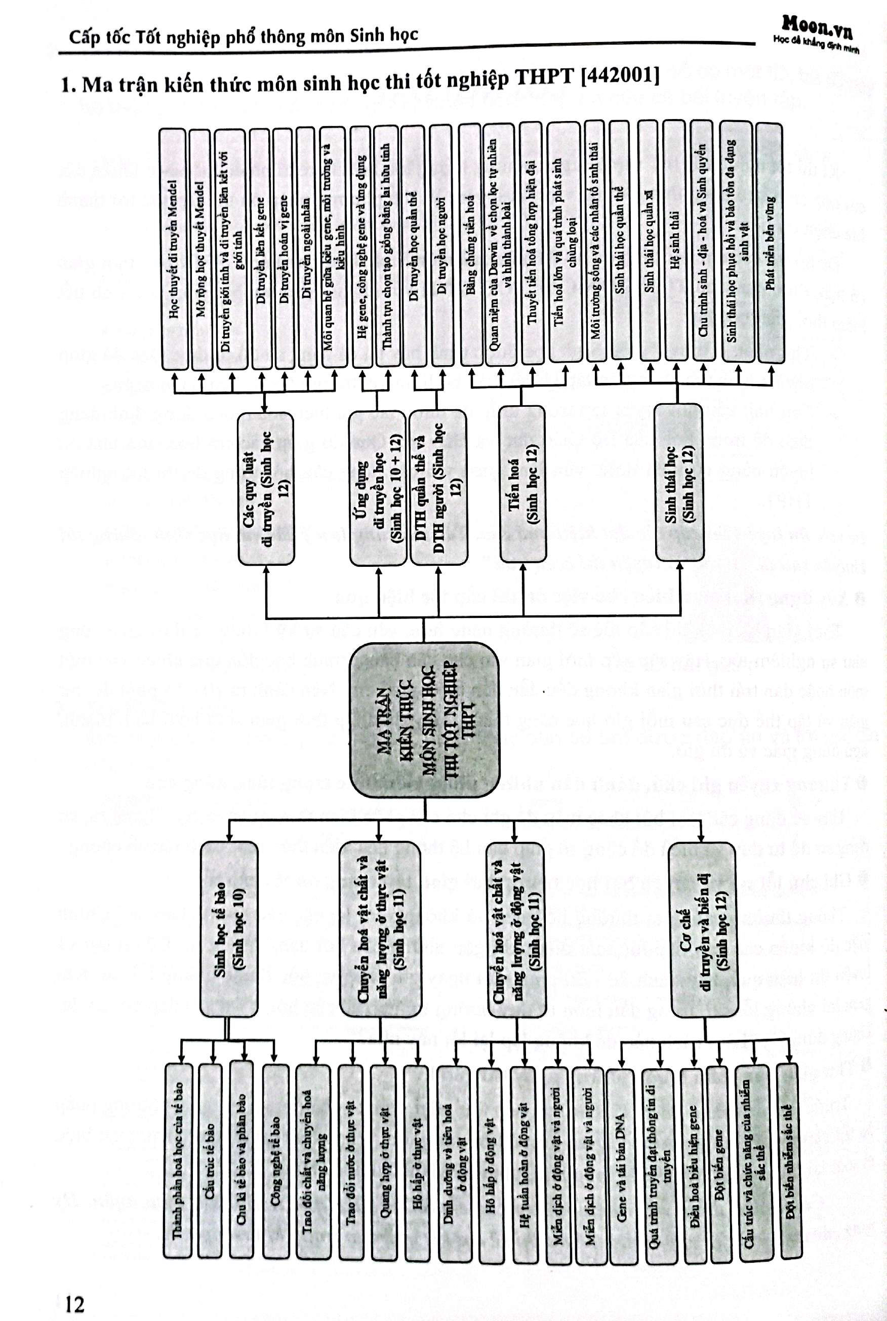 cấp tốc tốt nghiệp phổ thông - môn sinh học - Ảnh 5