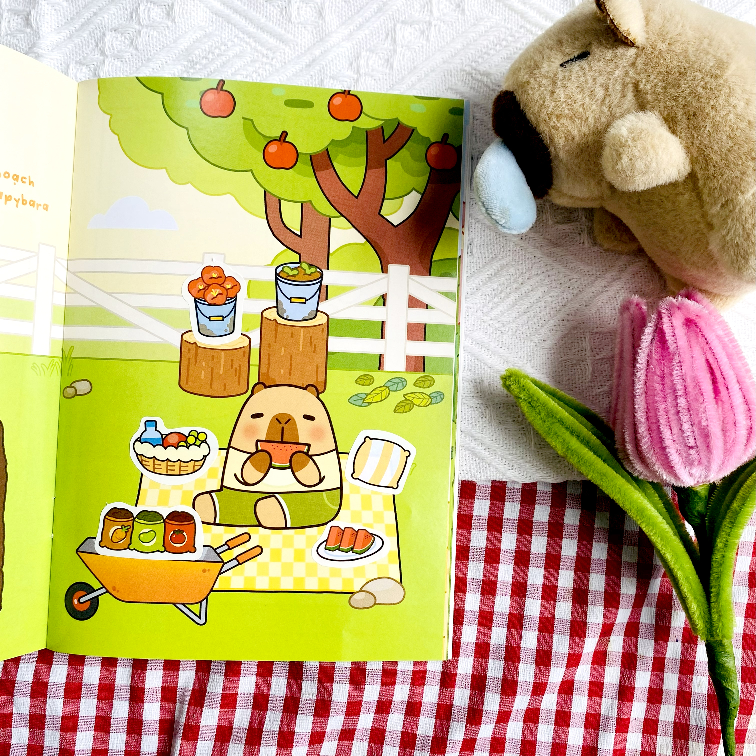 Capybara o nong trai Hon Ho - Ảnh 10