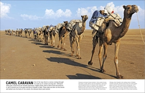 cars, trains, ships, and planes: a visual encyclopedia of every vehicle (dk our world in pictures) - Ảnh 9