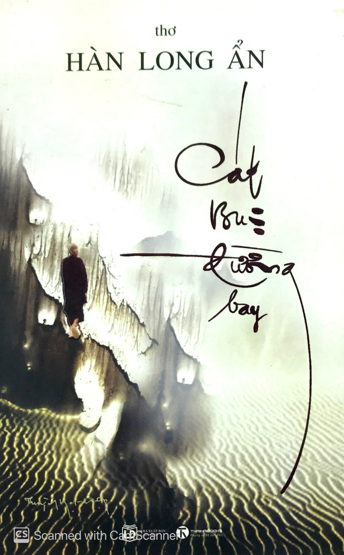 cát bụi đường bay - Ảnh 2