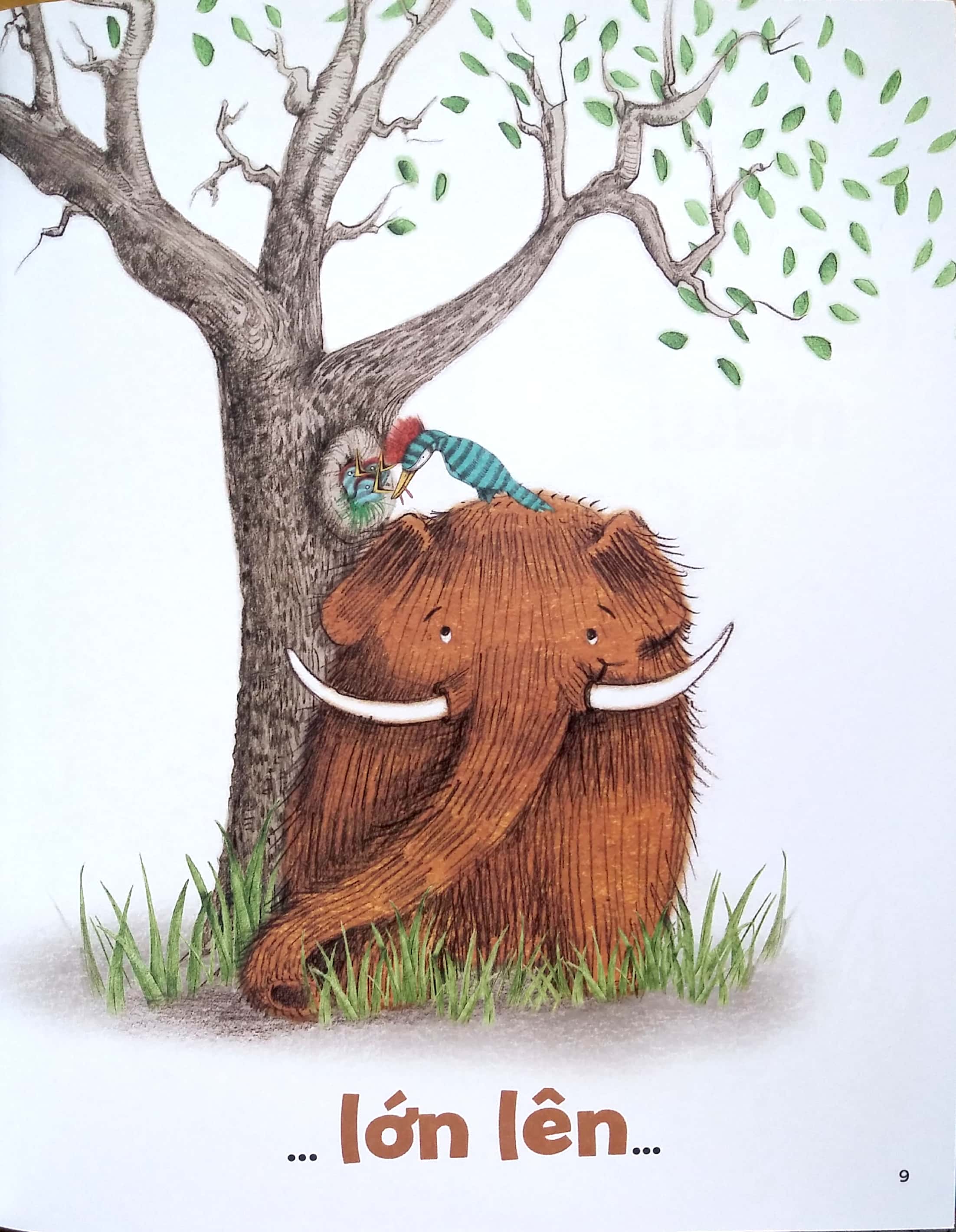 cậu bé oọc - nhóc trùm hang - Ảnh 6