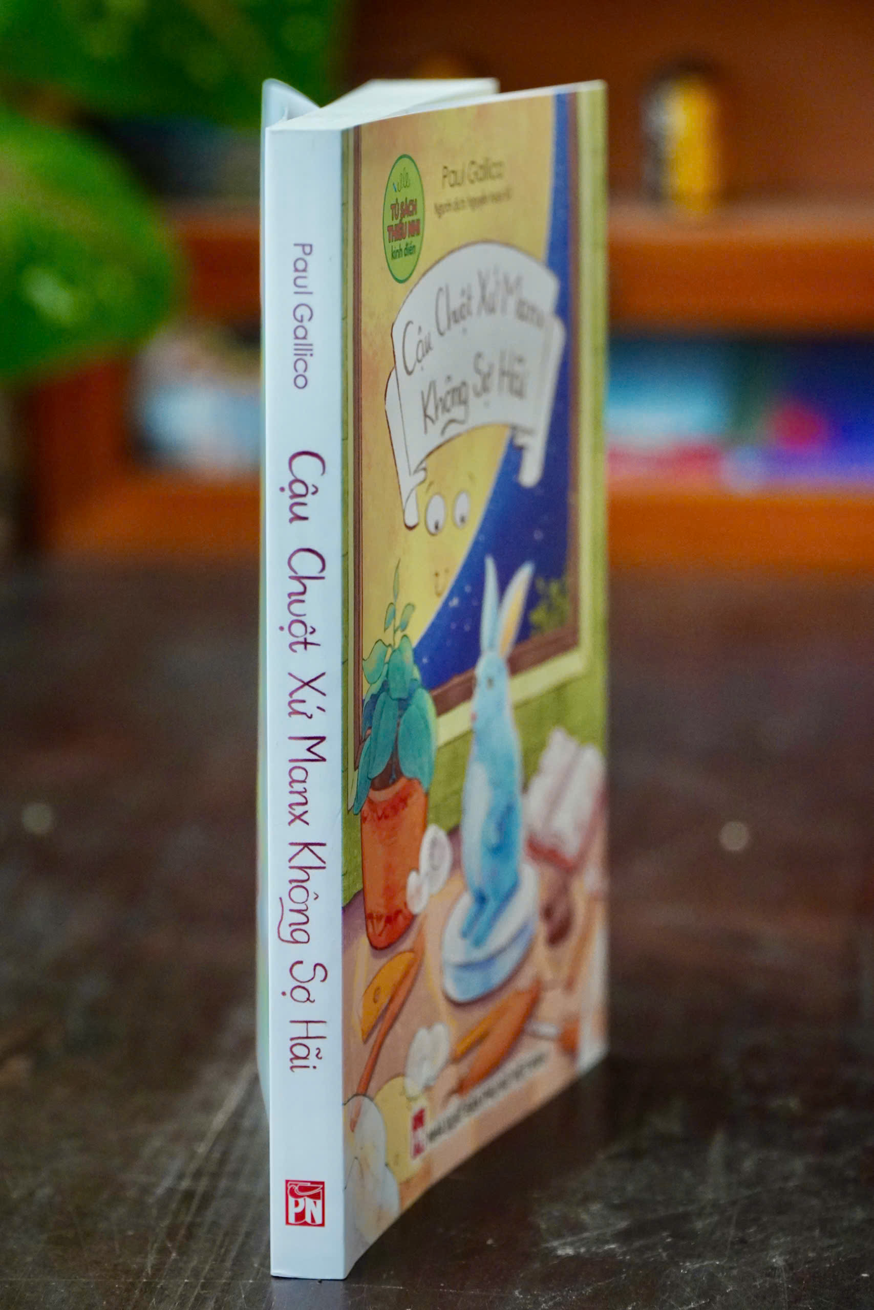 Cau Chuot Xu Manx Khong So Hai - Ảnh 4