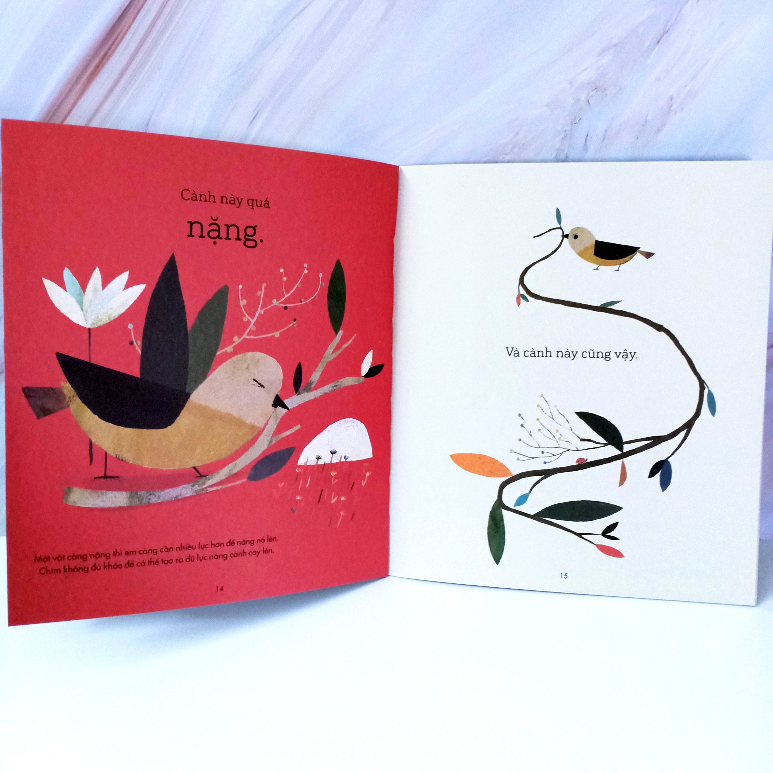 câu chuyện khoa học: chim xây tổ - Ảnh 3