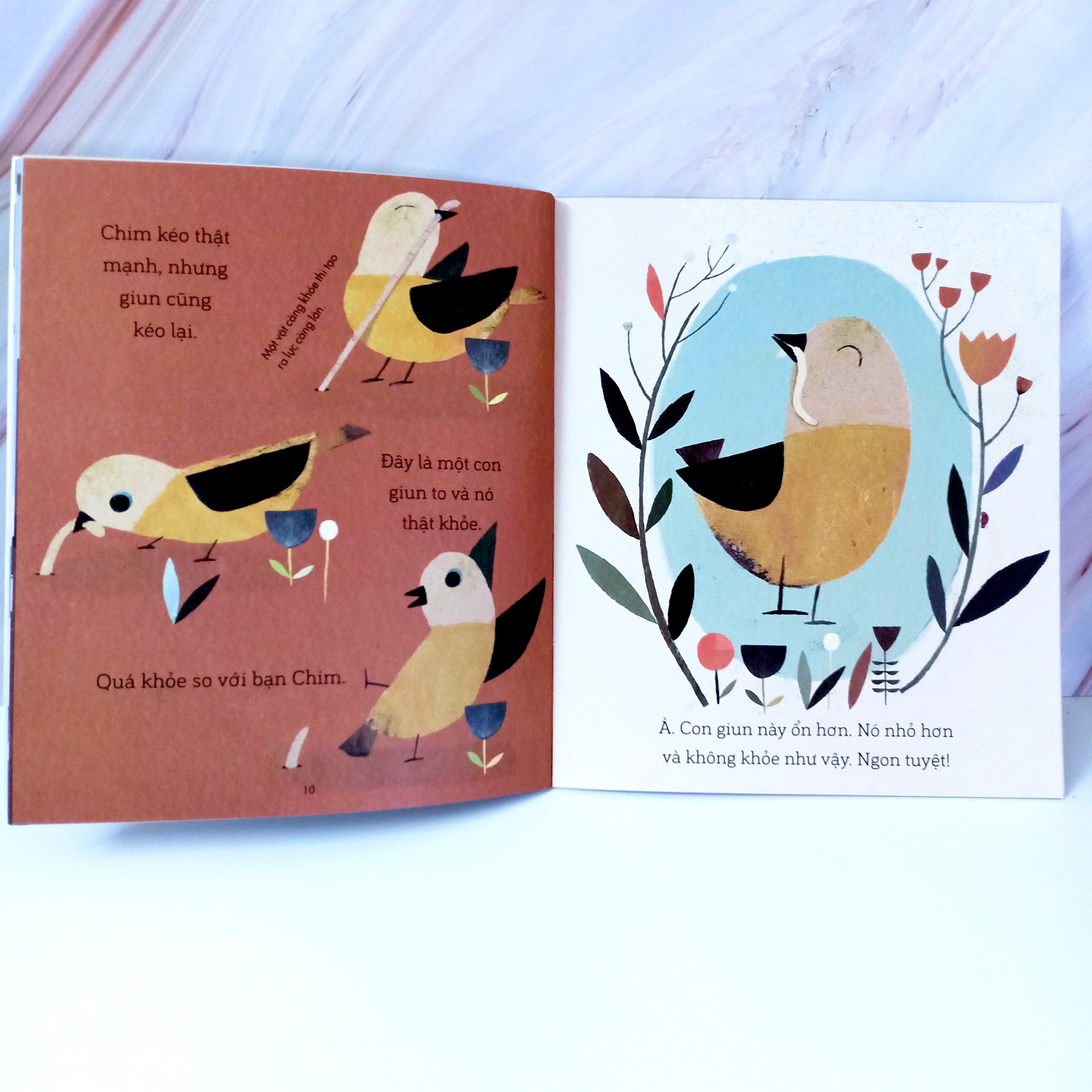 câu chuyện khoa học: chim xây tổ - Ảnh 4