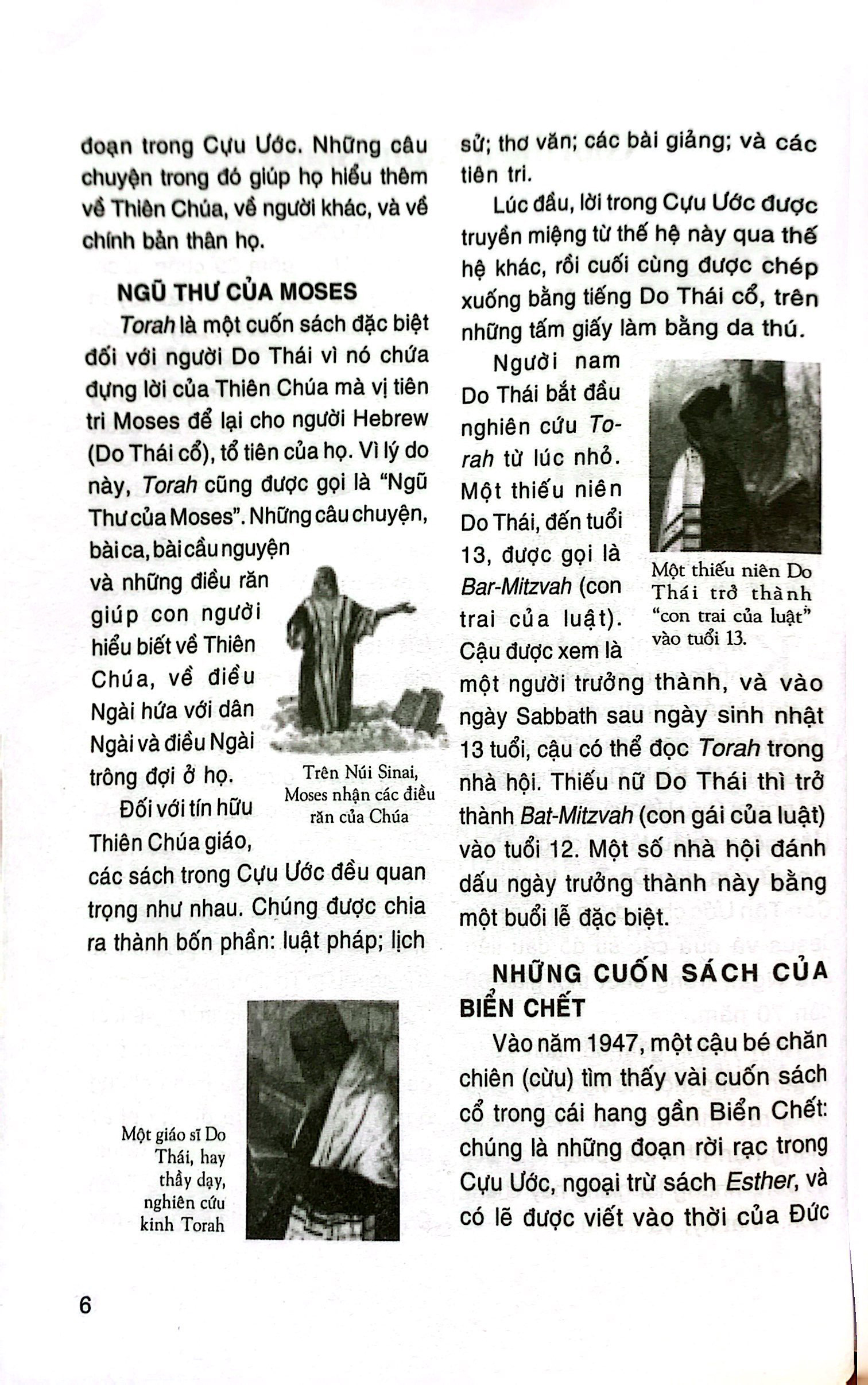 câu chuyện kinh thánh (tái bản 2023) - Ảnh 3