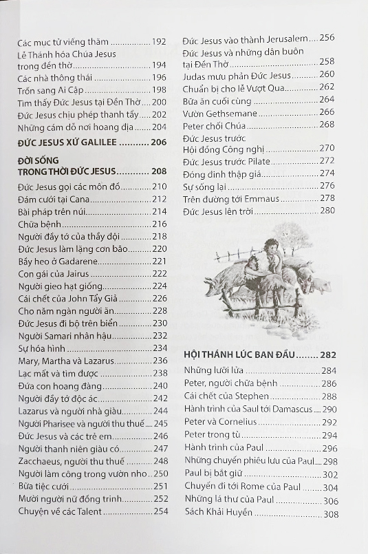 câu chuyện kinh thánh (tái bản 2025) - Ảnh 5