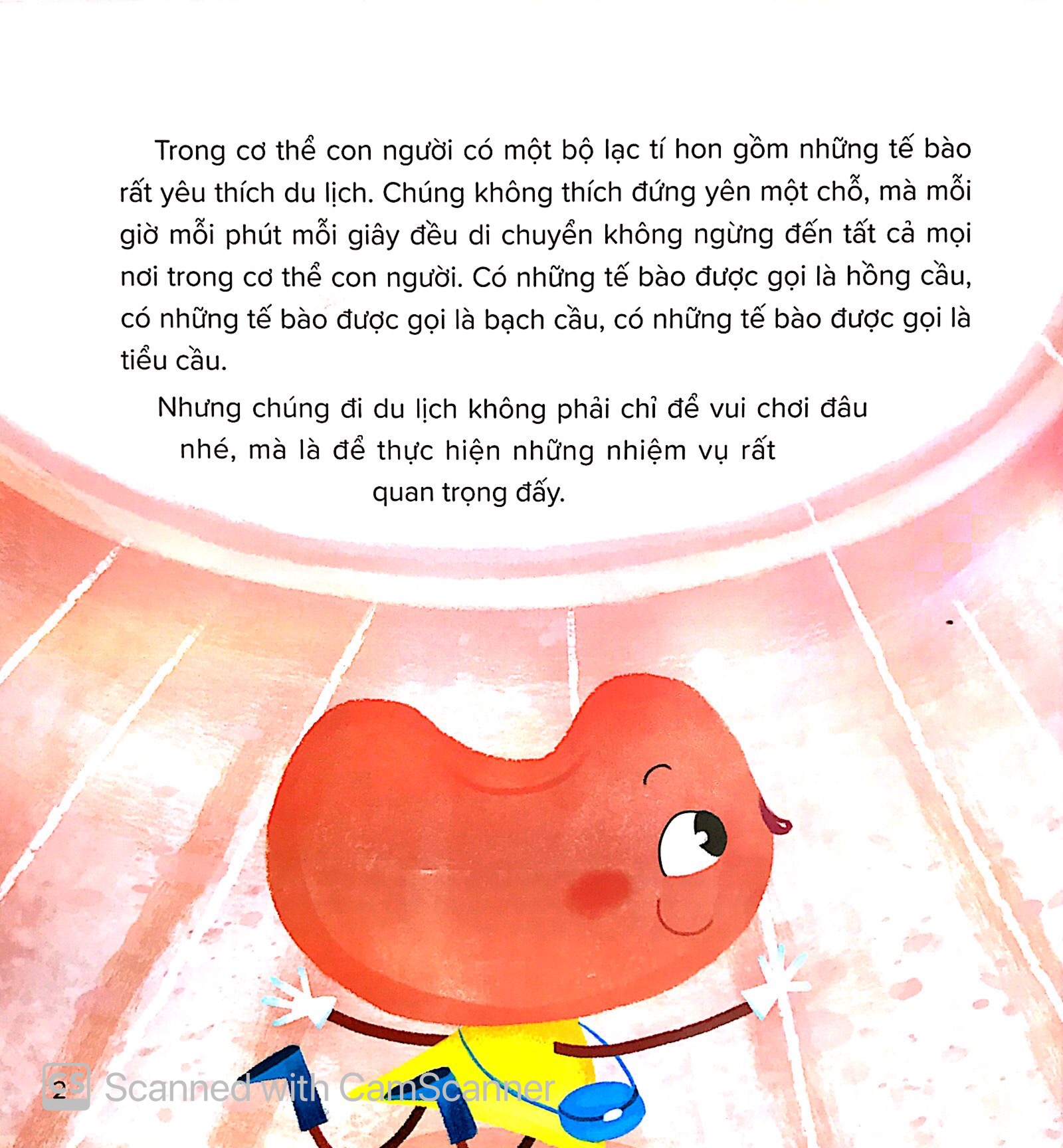 câu chuyện lớn khôn - hồng cầu phiêu lưu ký - Ảnh 3