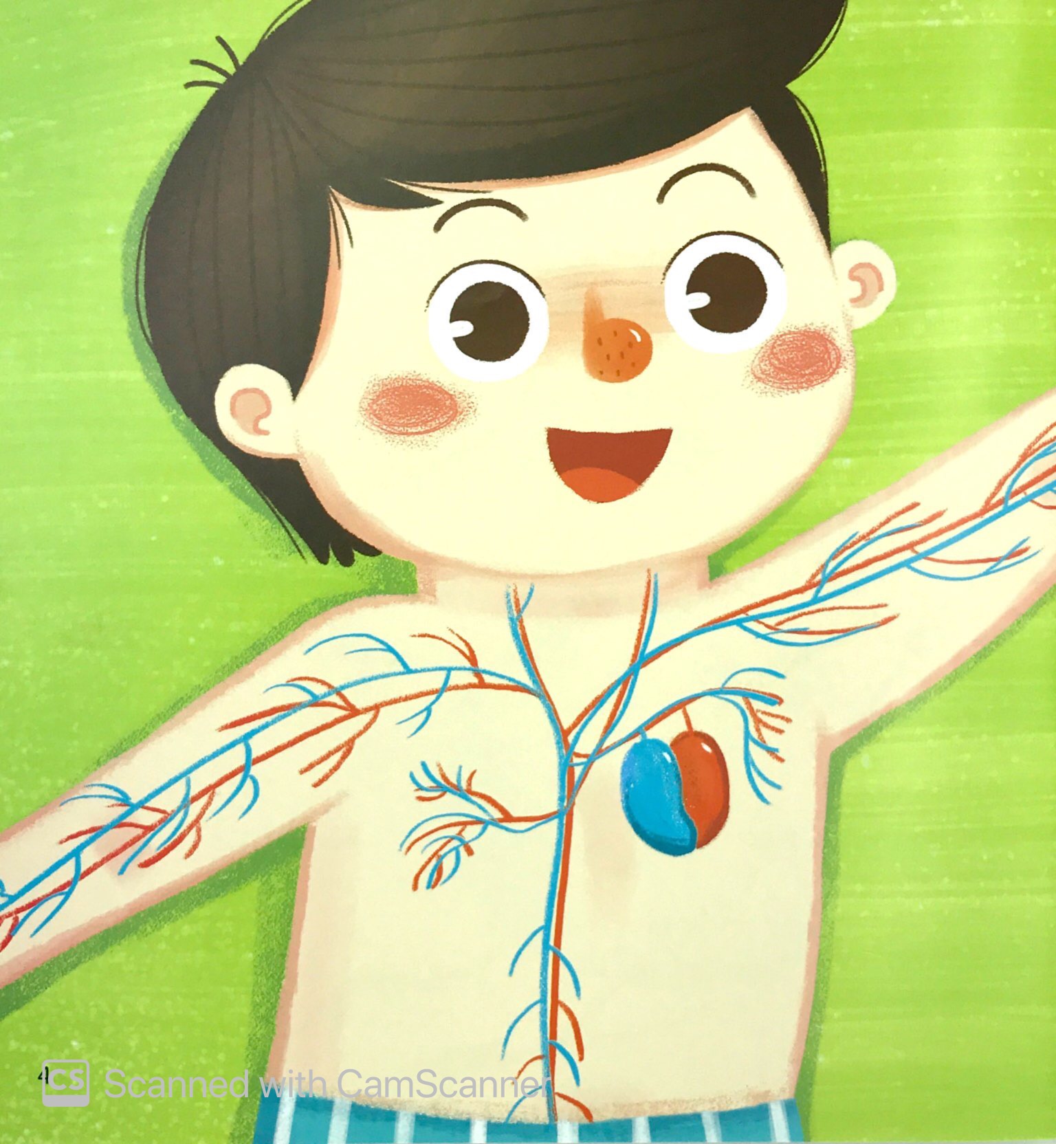 câu chuyện lớn khôn - hồng cầu phiêu lưu ký - Ảnh 5