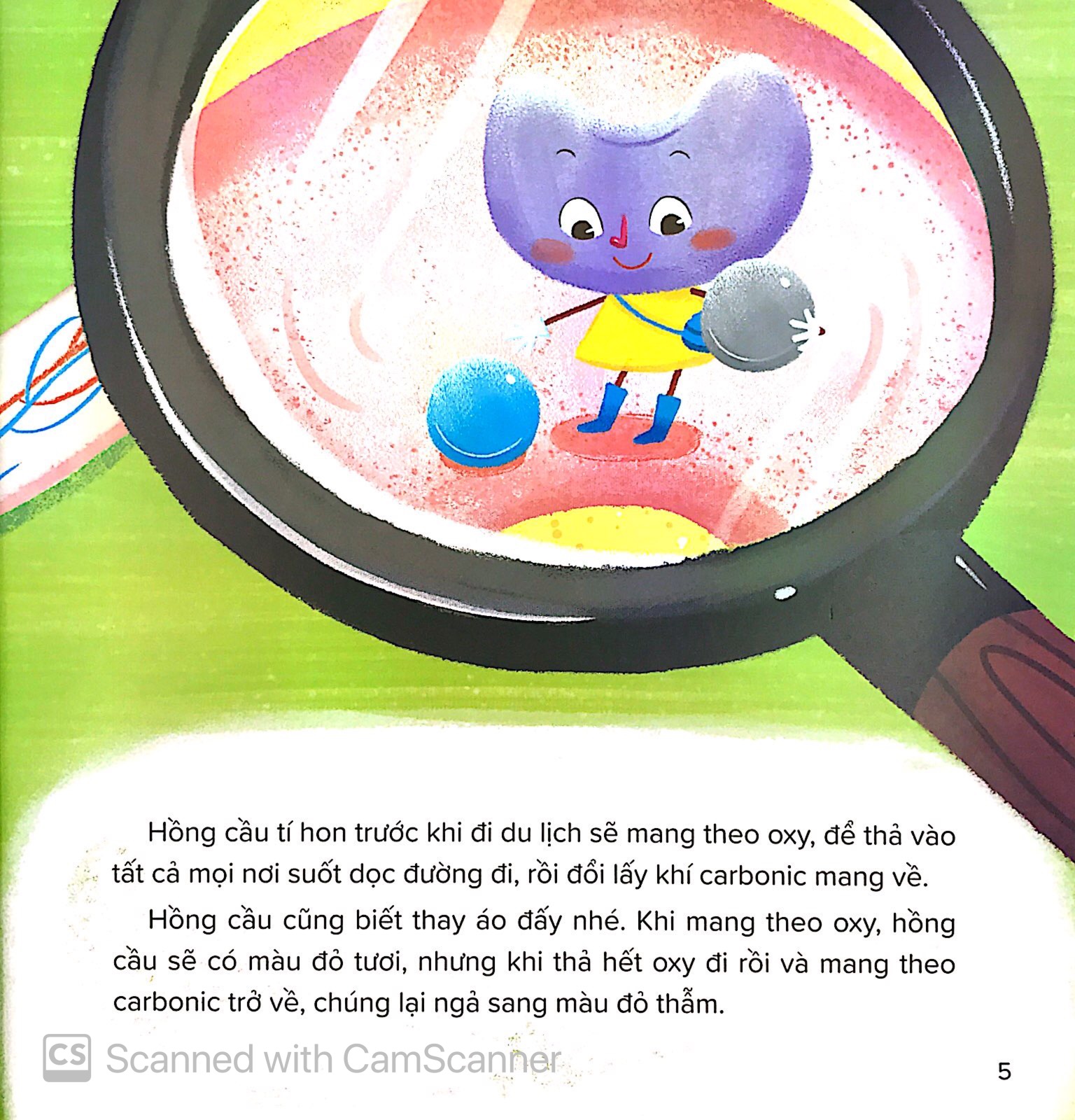 câu chuyện lớn khôn - hồng cầu phiêu lưu ký - Ảnh 6