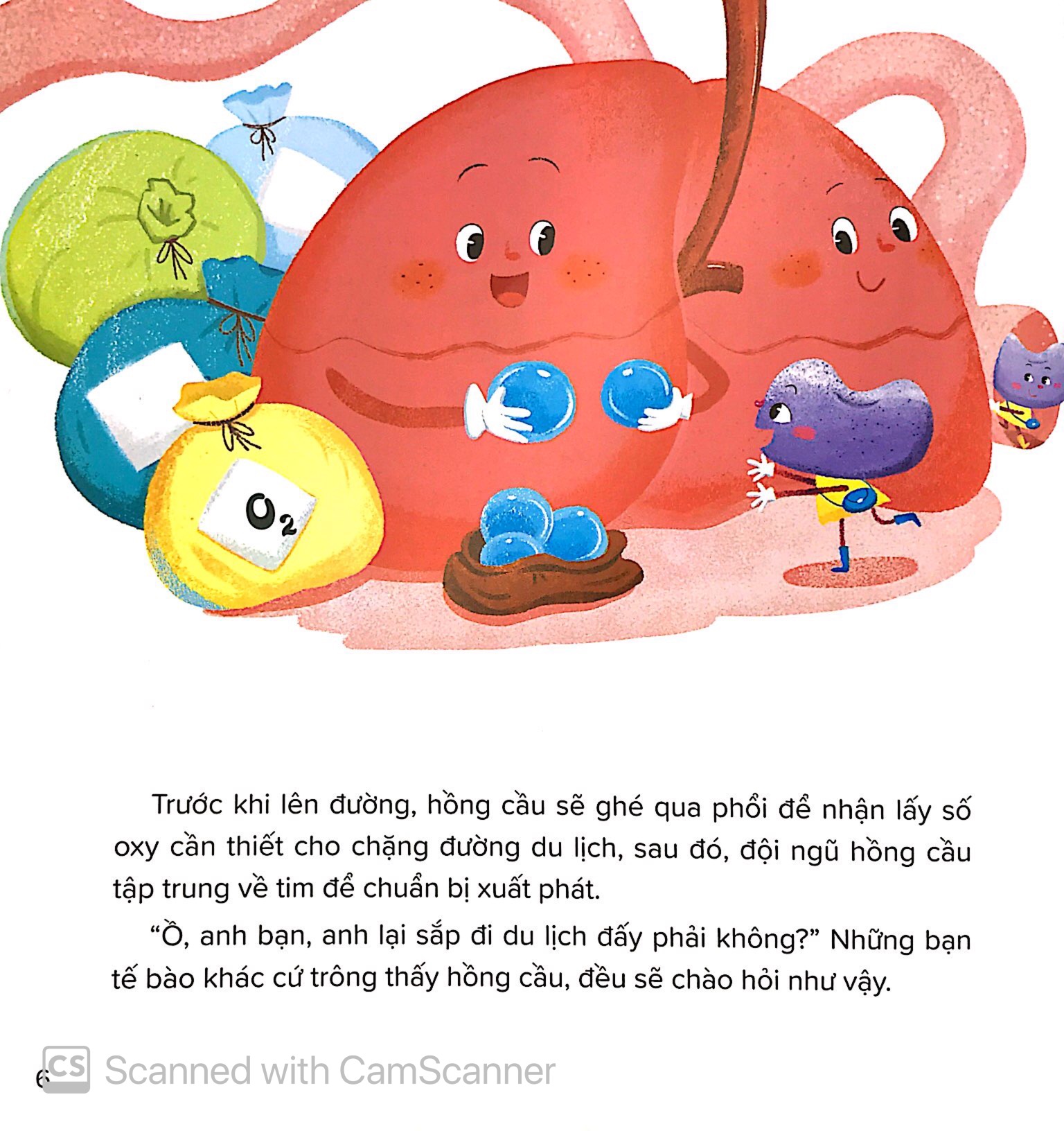 câu chuyện lớn khôn - hồng cầu phiêu lưu ký - Ảnh 7