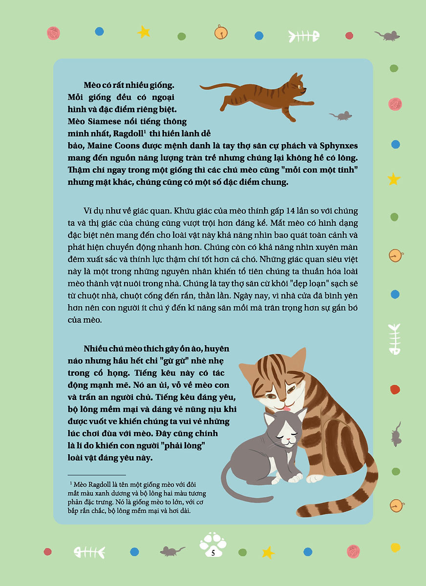 câu chuyện về loài mèo - những câu chuyện có thật về các chú mèo phi thường - Ảnh 4