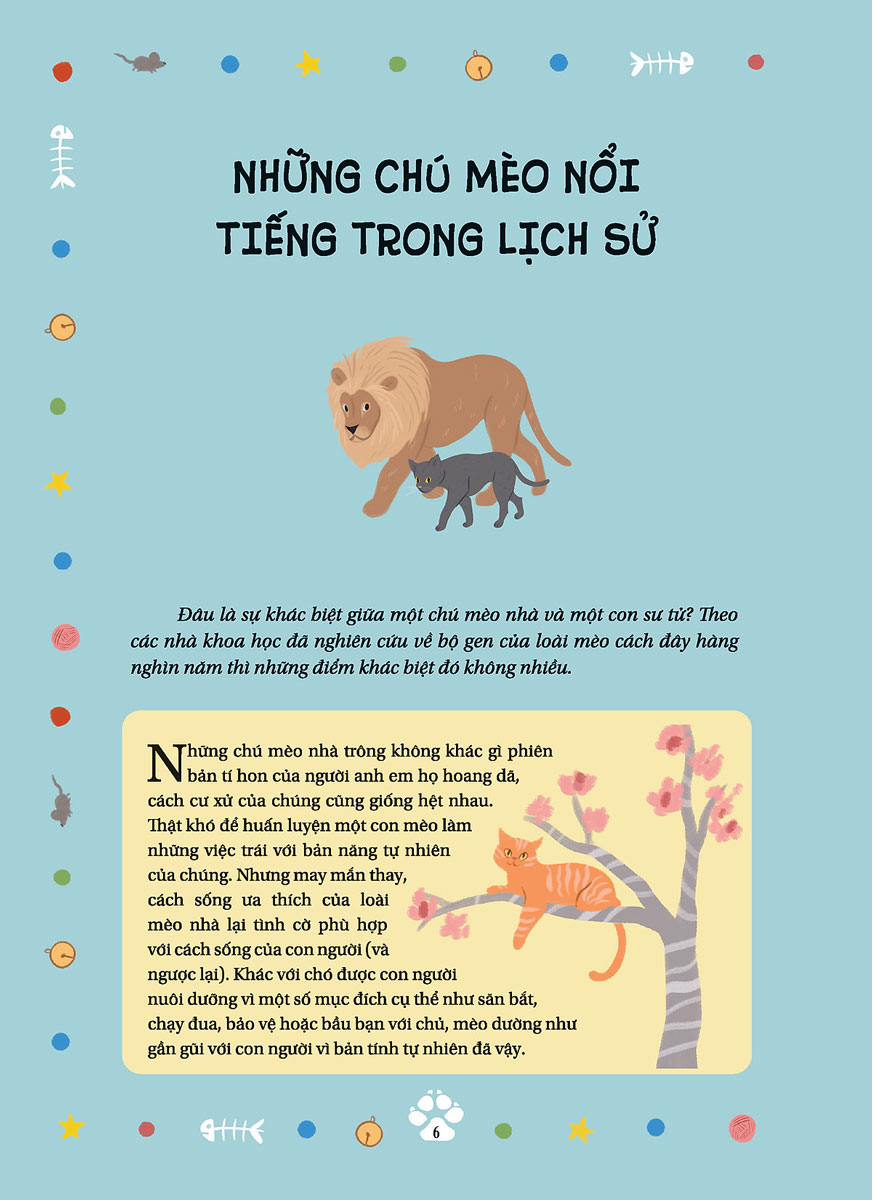 câu chuyện về loài mèo - những câu chuyện có thật về các chú mèo phi thường - Ảnh 5