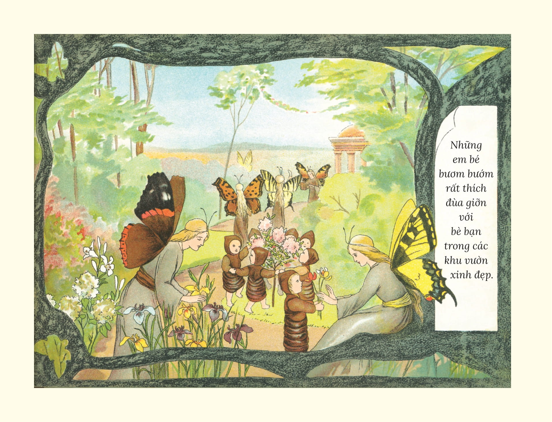 câu chuyện về những em bé bươm bướm - Ảnh 4