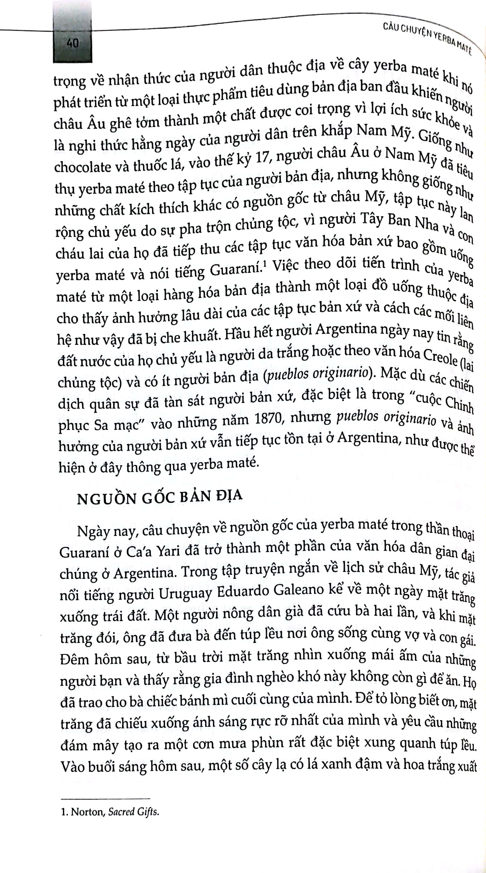 Câu Chuyện Yerba Maté - Nước Uống Thảo Mộc Truyền Thống Vươn Ra Thế Giới - Ảnh 5