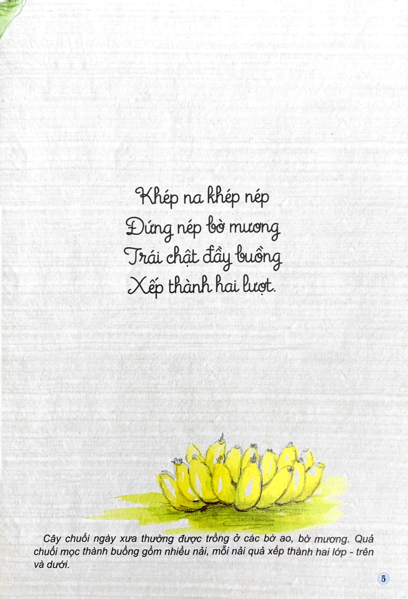 câu đố dân gian bằng tranh - cây cối (tái bản 2019) - Ảnh 6