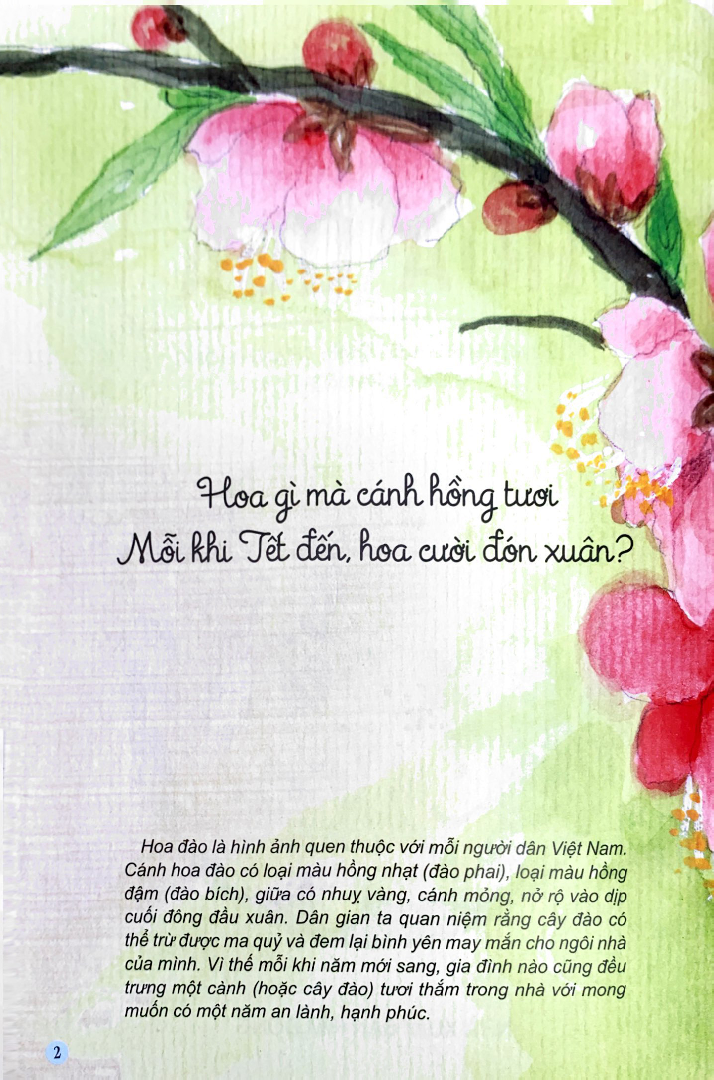 Câu Đố Dân Gian Bằng Tranh - Hoa Quả (Tái Bản 2019) - Ảnh 3