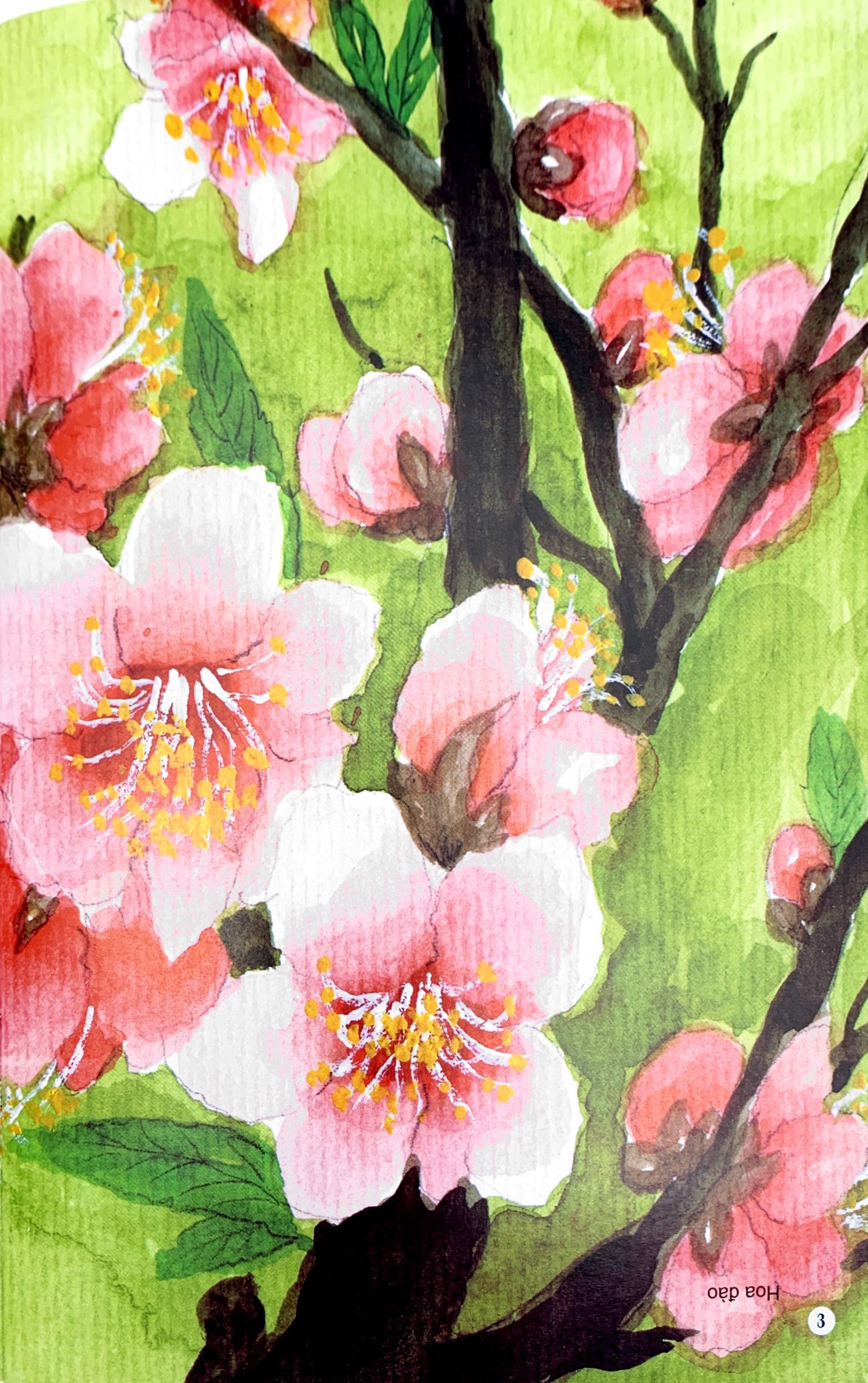 Câu Đố Dân Gian Bằng Tranh - Hoa Quả (Tái Bản 2019) - Ảnh 4