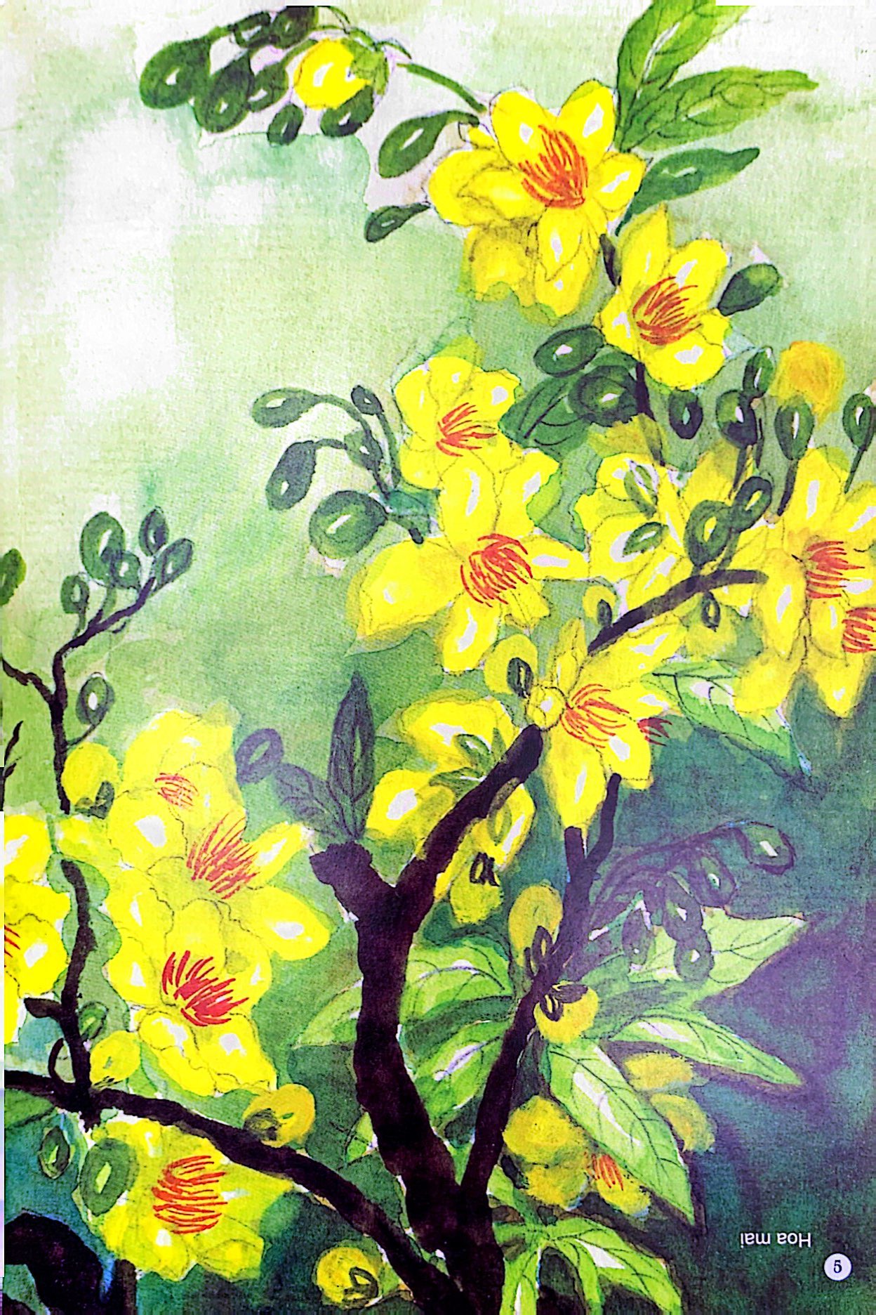 Câu Đố Dân Gian Bằng Tranh - Hoa Quả (Tái Bản 2019) - Ảnh 6