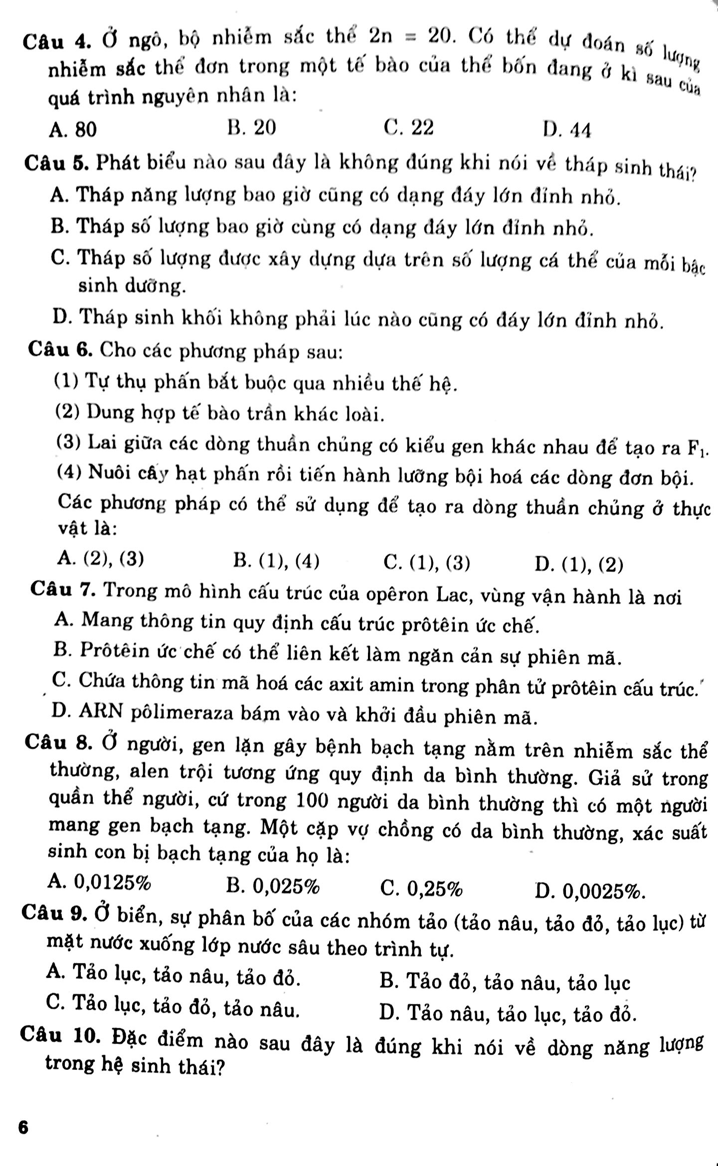 cấu trúc các dạng đttn sinh học 12 - Ảnh 3