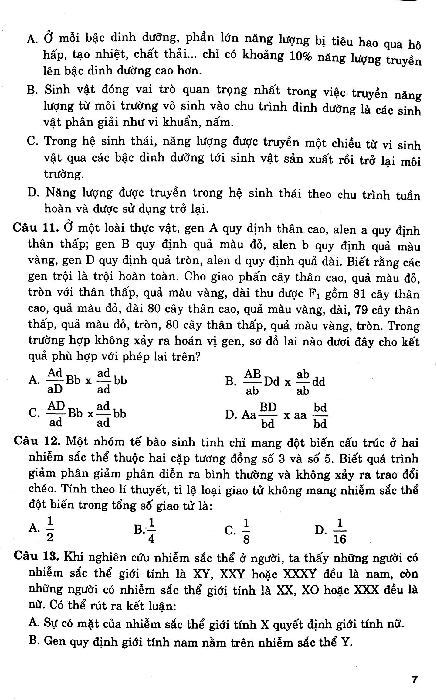 cấu trúc các dạng đttn sinh học 12 - Ảnh 4
