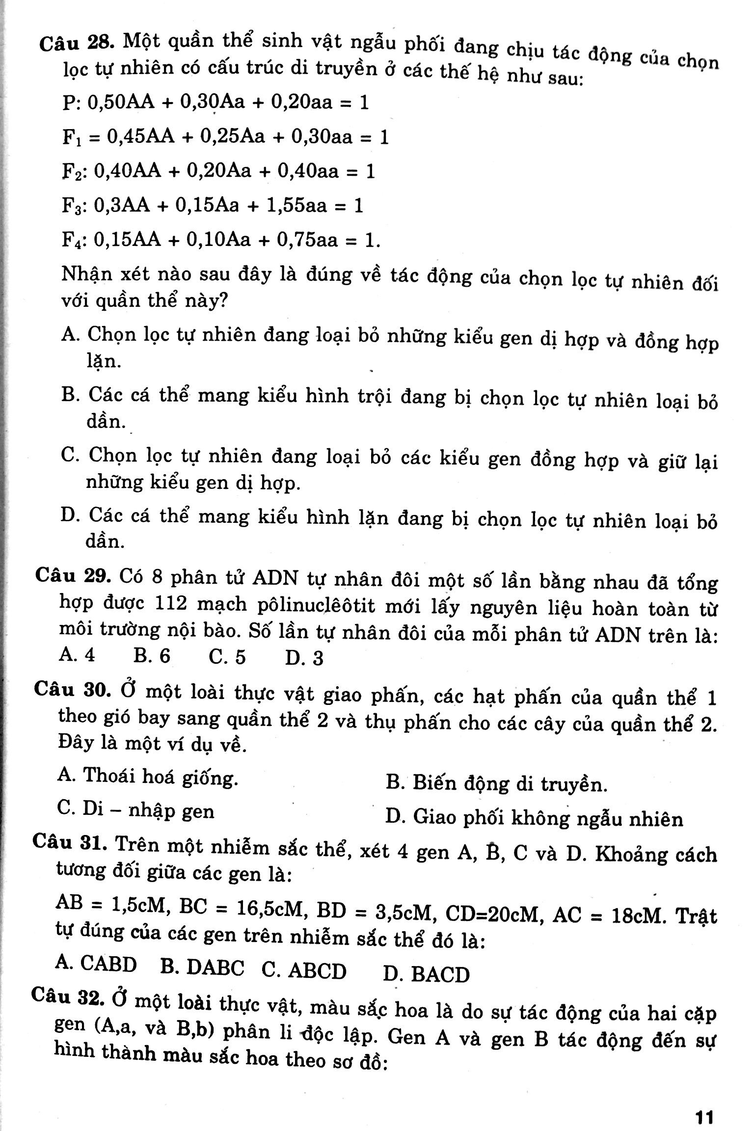 cấu trúc các dạng đttn sinh học 12 - Ảnh 8