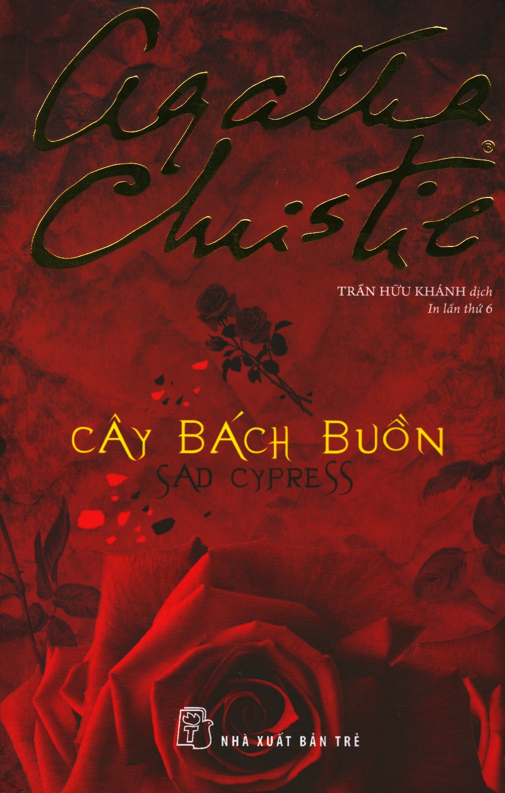 cây bách buồn - Ảnh 2