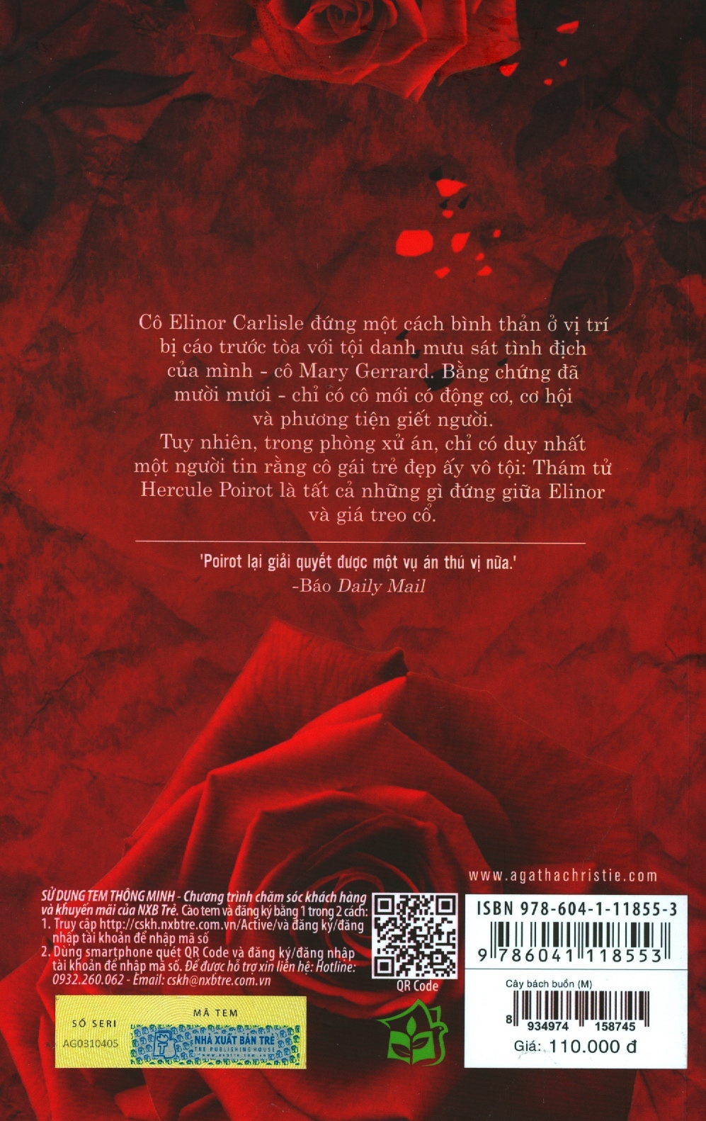 cây bách buồn - Ảnh 7