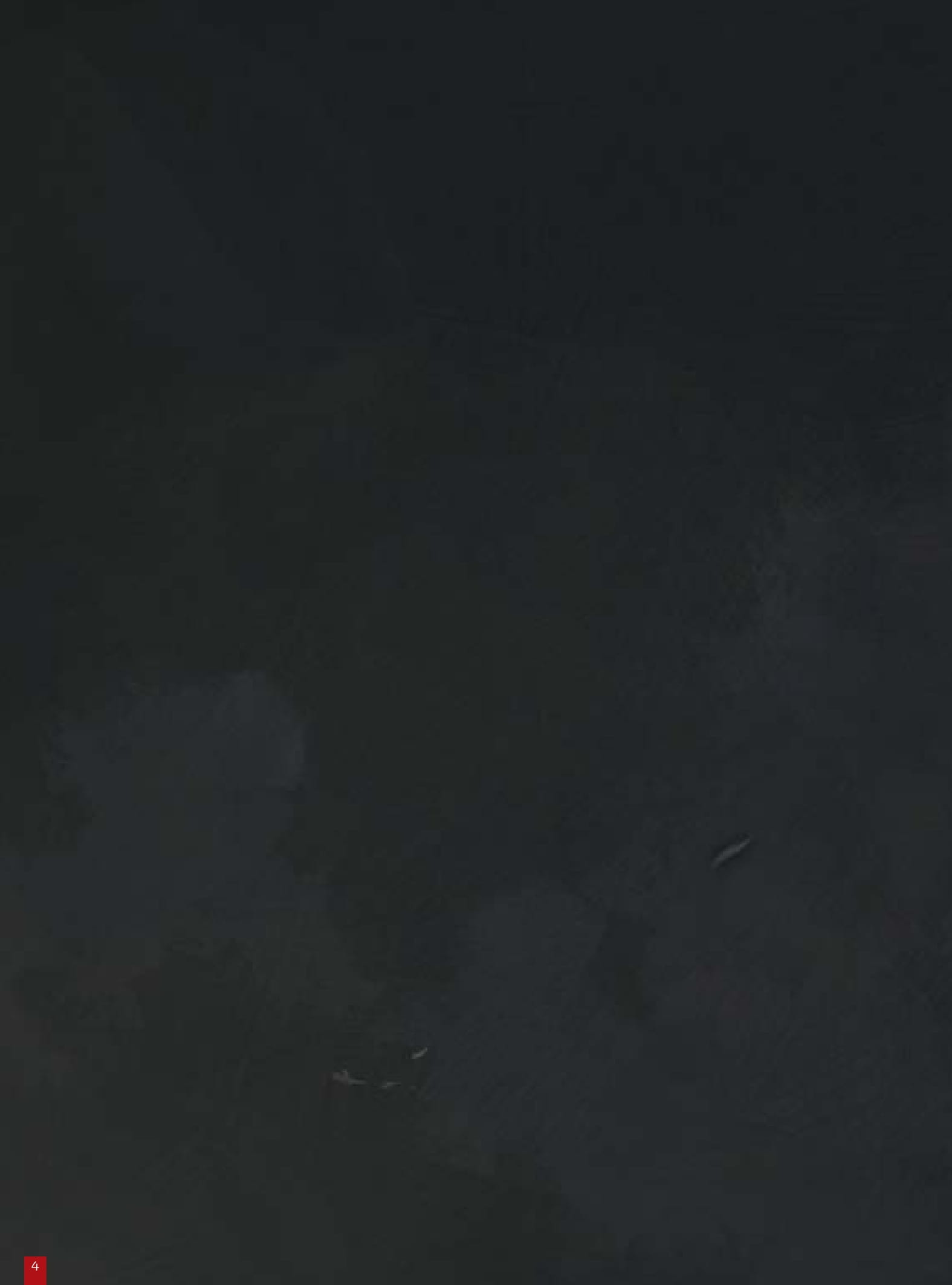 cây bách xù - truyện cổ grimm kinh dị được kể bằng tranh - Ảnh 3