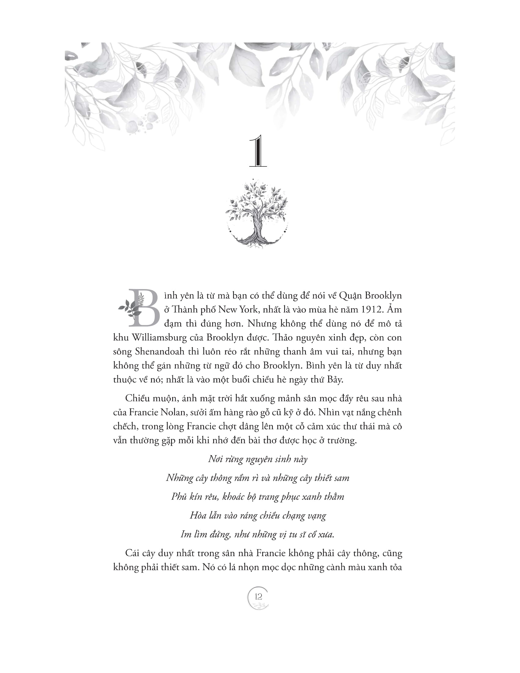 cây brooklyn xanh biếc - Ảnh 10