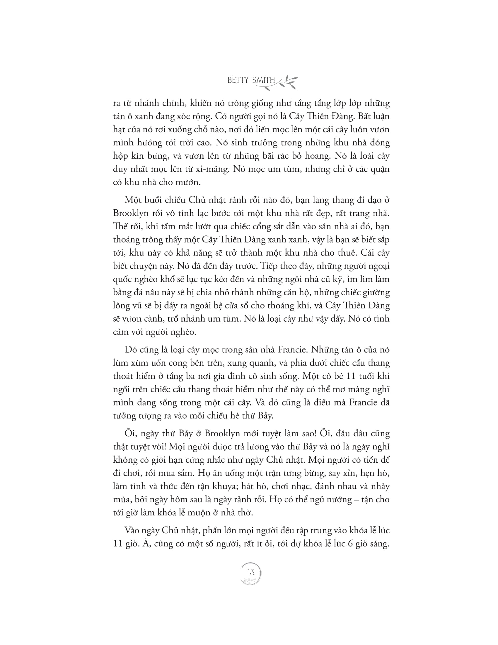 cây brooklyn xanh biếc - Ảnh 11