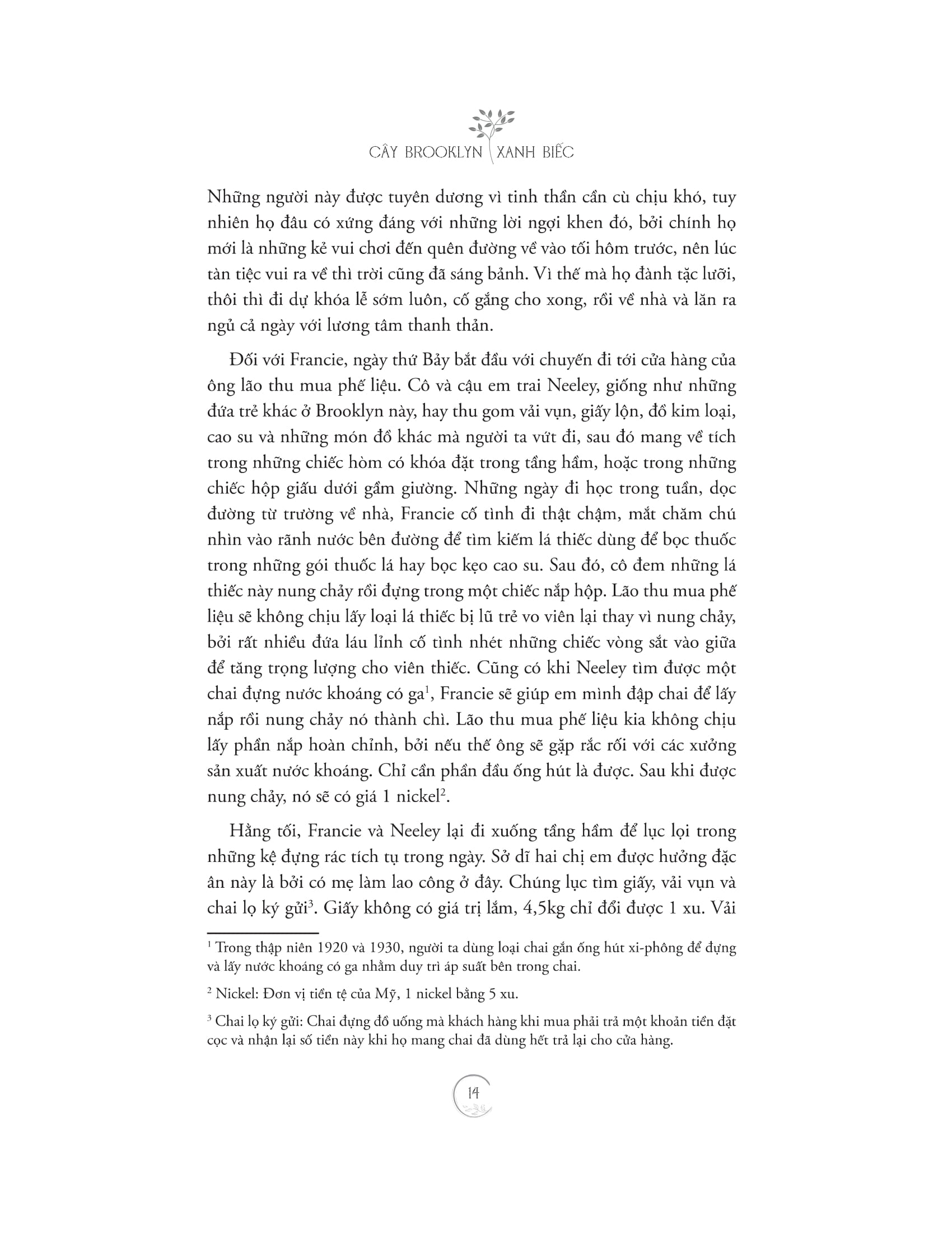 cây brooklyn xanh biếc - Ảnh 12