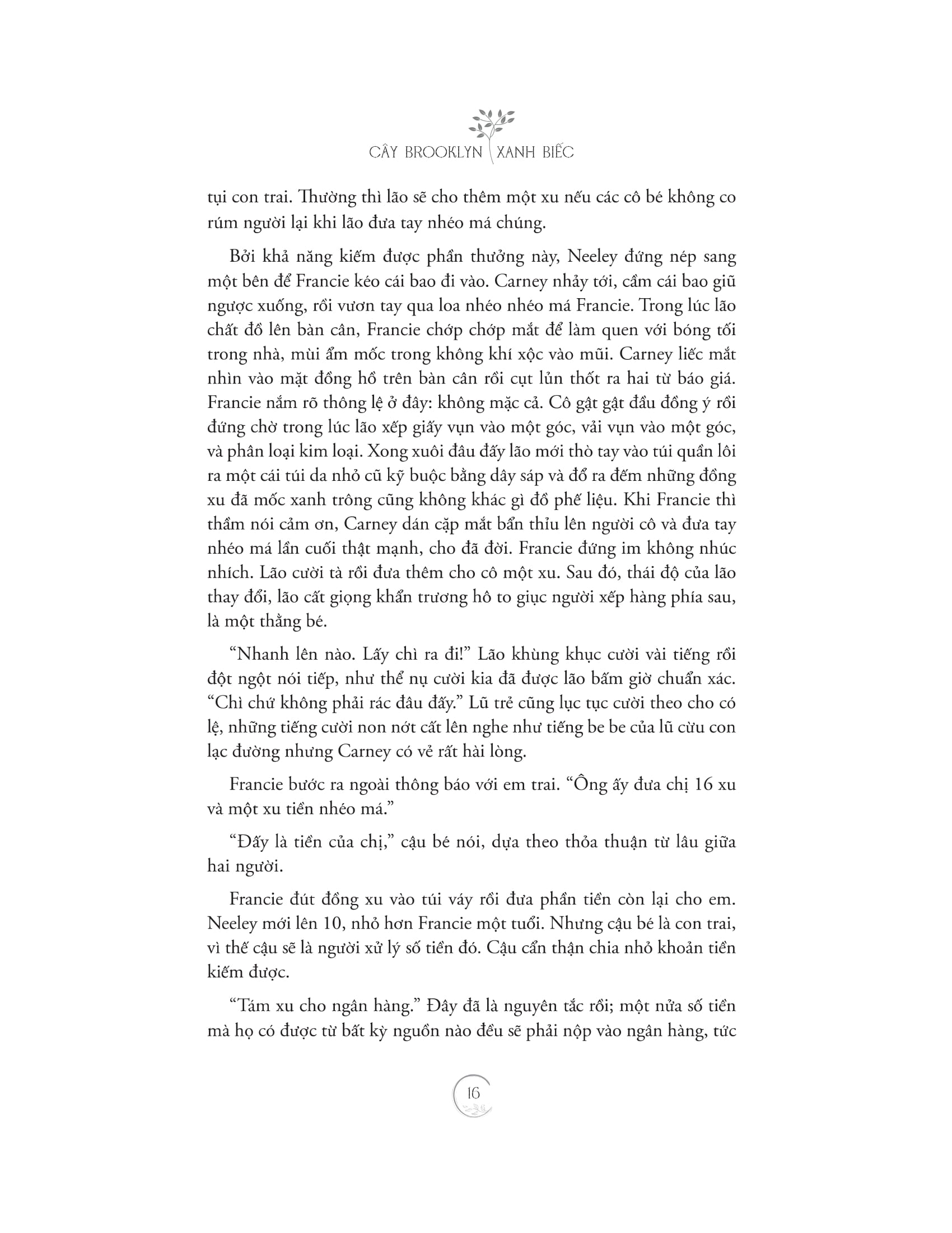 cây brooklyn xanh biếc - Ảnh 14