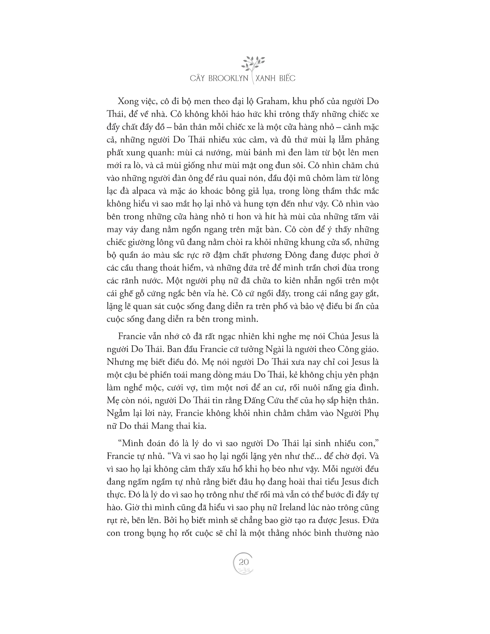 cây brooklyn xanh biếc - Ảnh 18