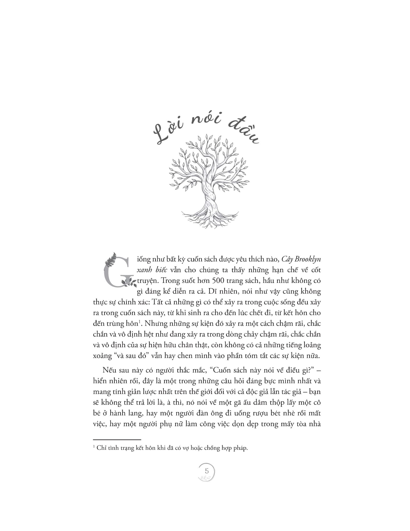 cây brooklyn xanh biếc - Ảnh 3