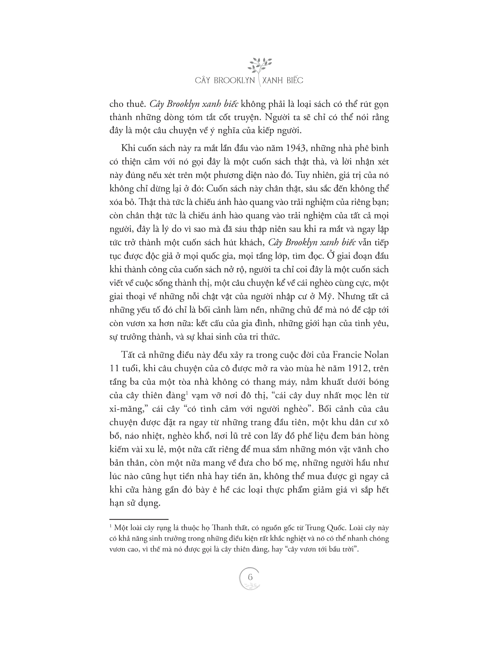 cây brooklyn xanh biếc - Ảnh 4