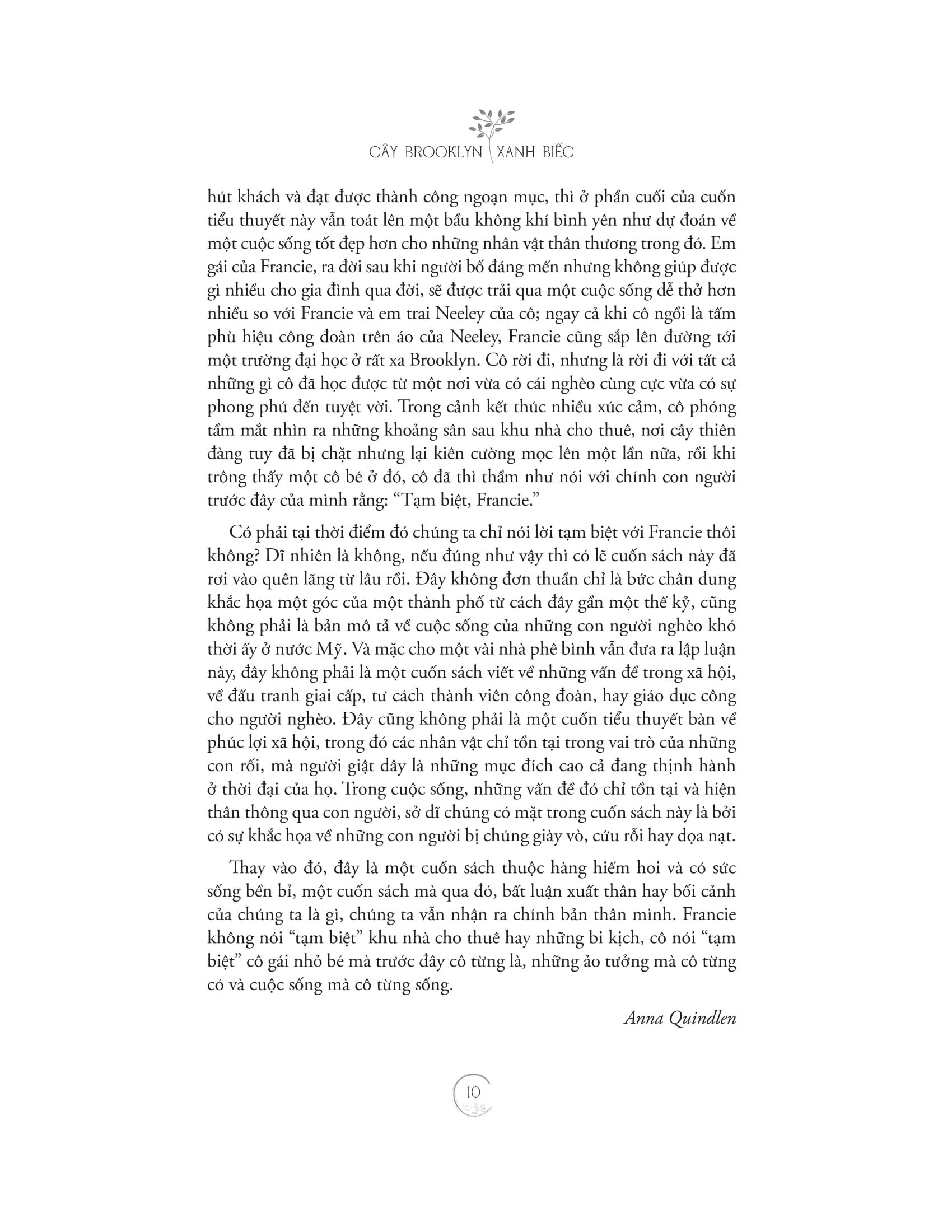 cây brooklyn xanh biếc - Ảnh 8