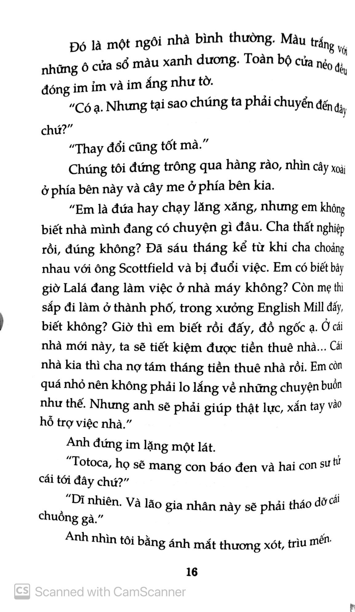 cây cam ngọt của tôi - Ảnh 11