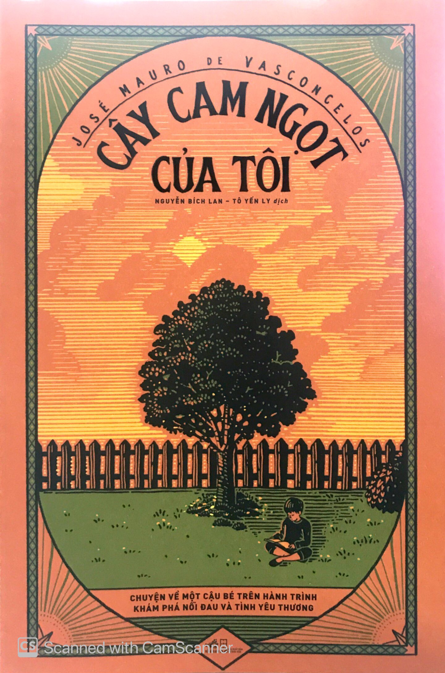 cây cam ngọt của tôi - Ảnh 2