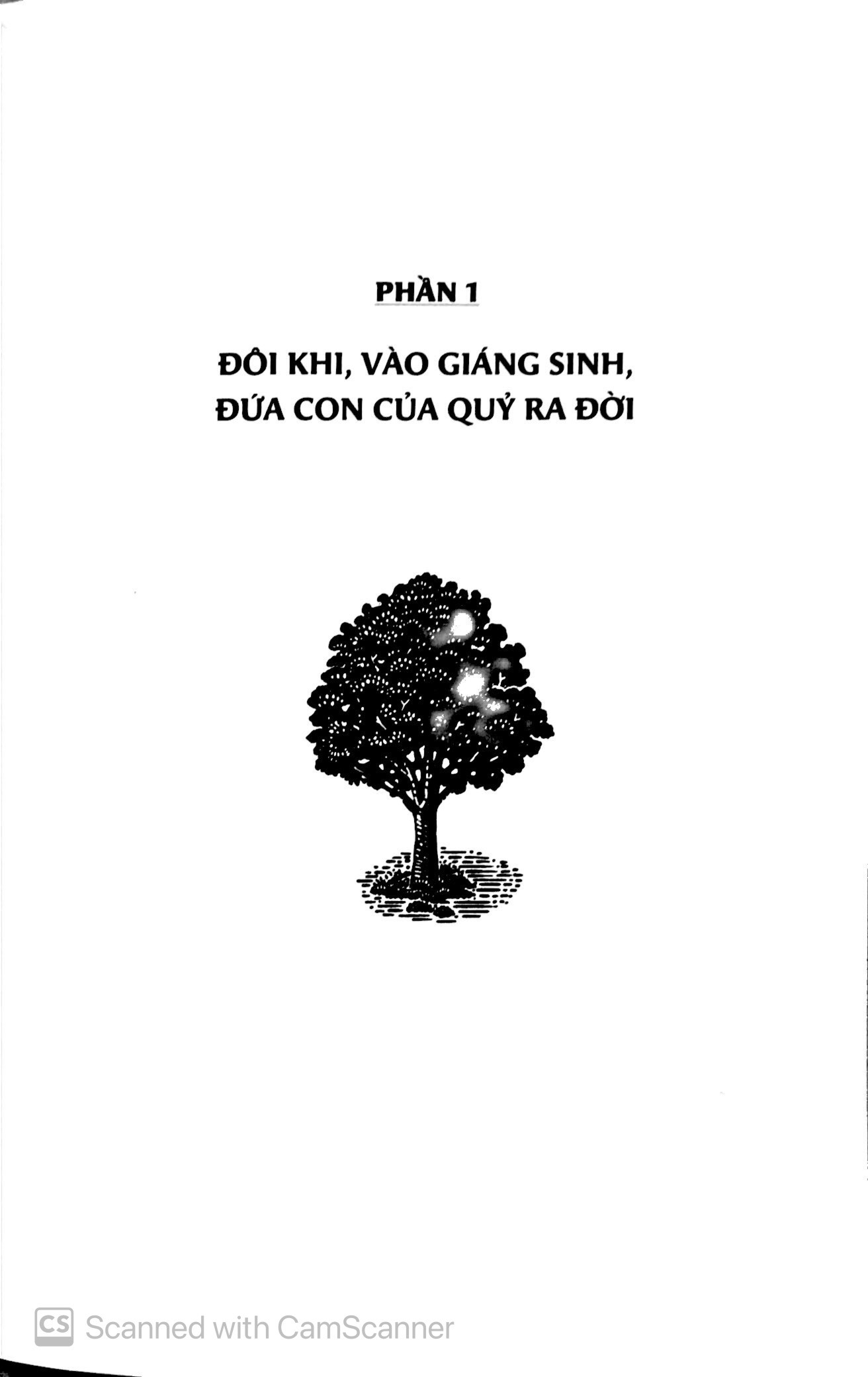 cây cam ngọt của tôi - Ảnh 3