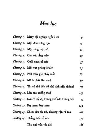 cây chổi phép thuật - Ảnh 3