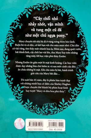 cây chổi phép thuật - Ảnh 6