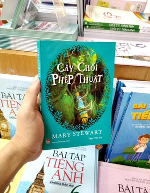 cây chổi phép thuật - Ảnh 7