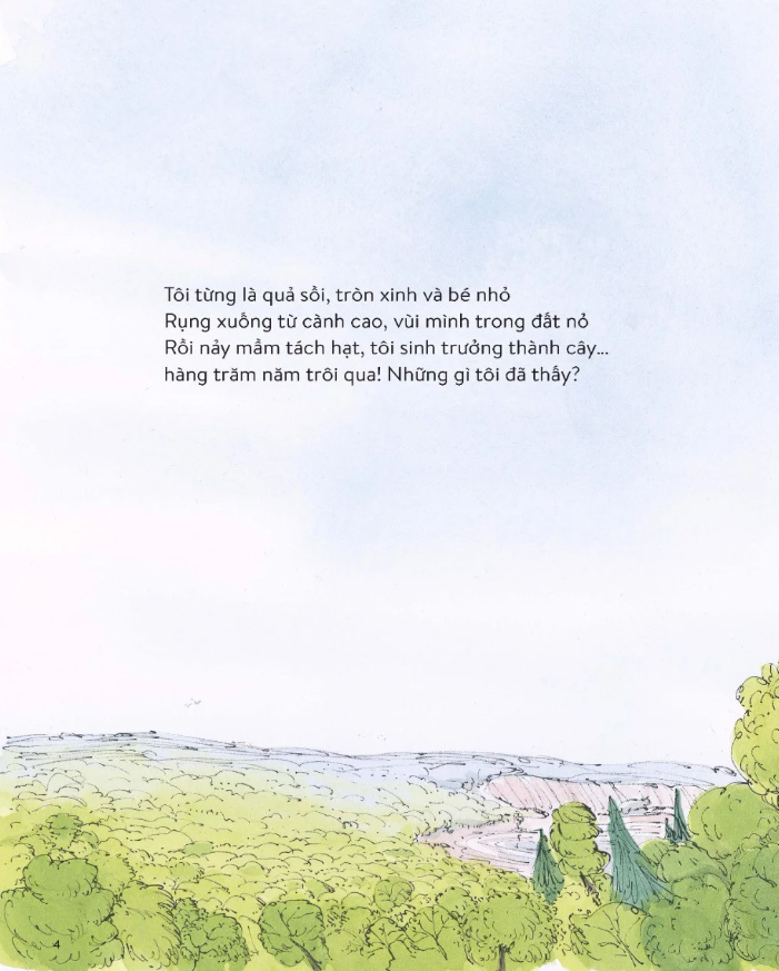 cây đã thấy những gì? - Ảnh 3